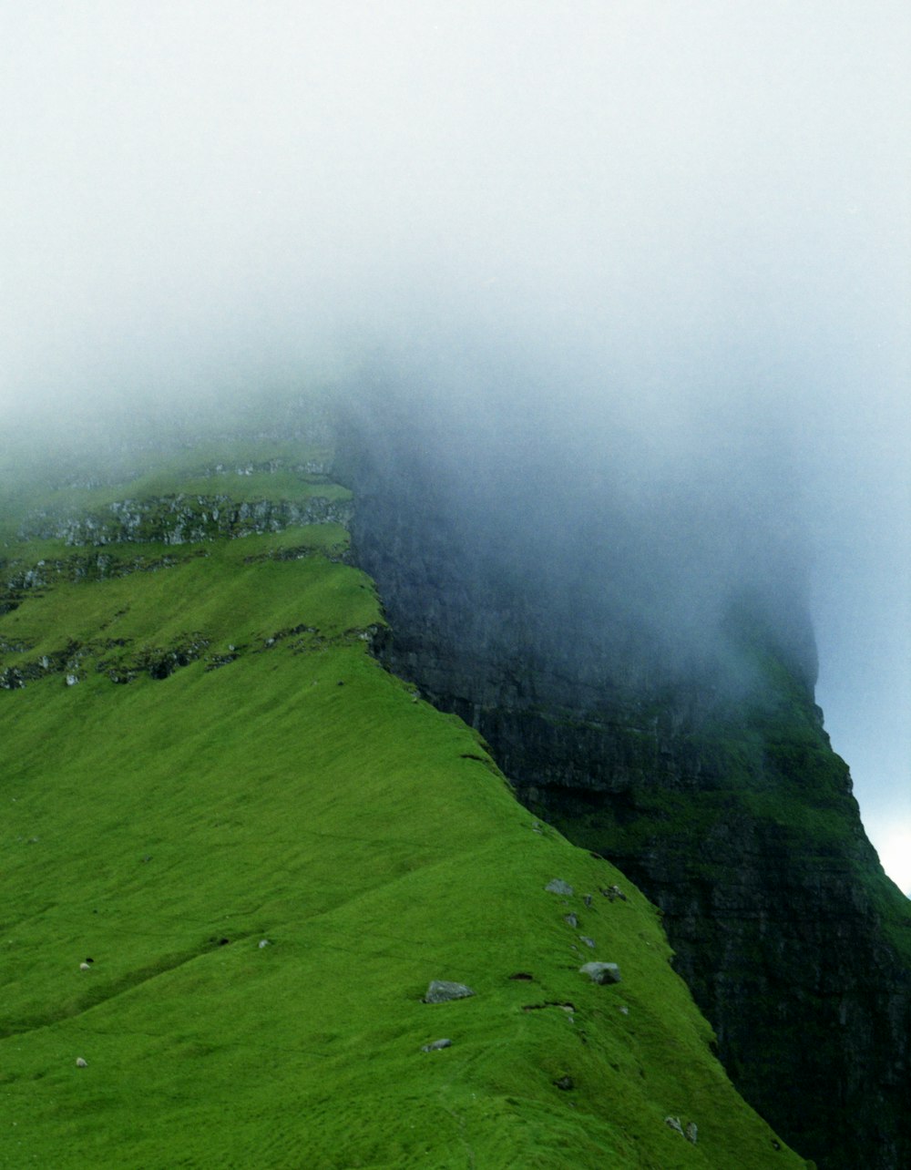 green grass covered hill with fog