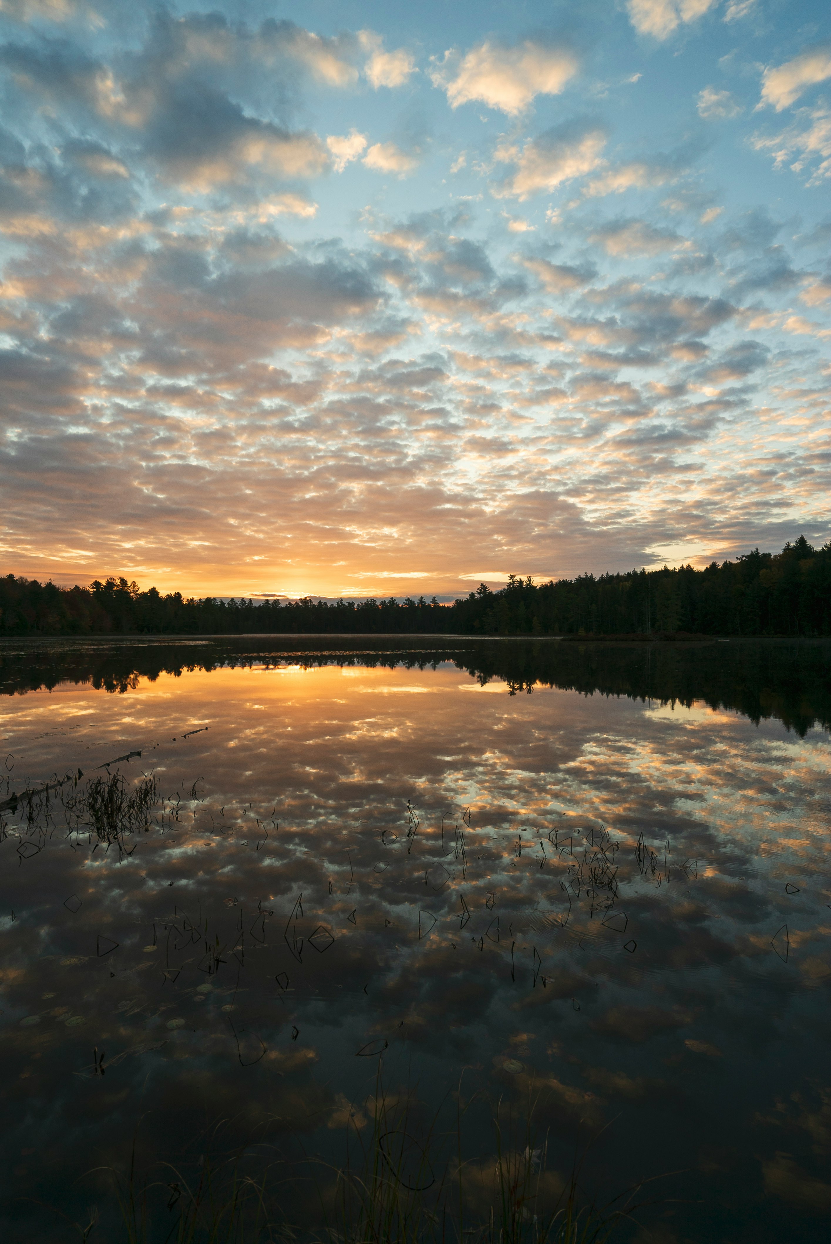 body of water near green trees under cloudy sky during daytime