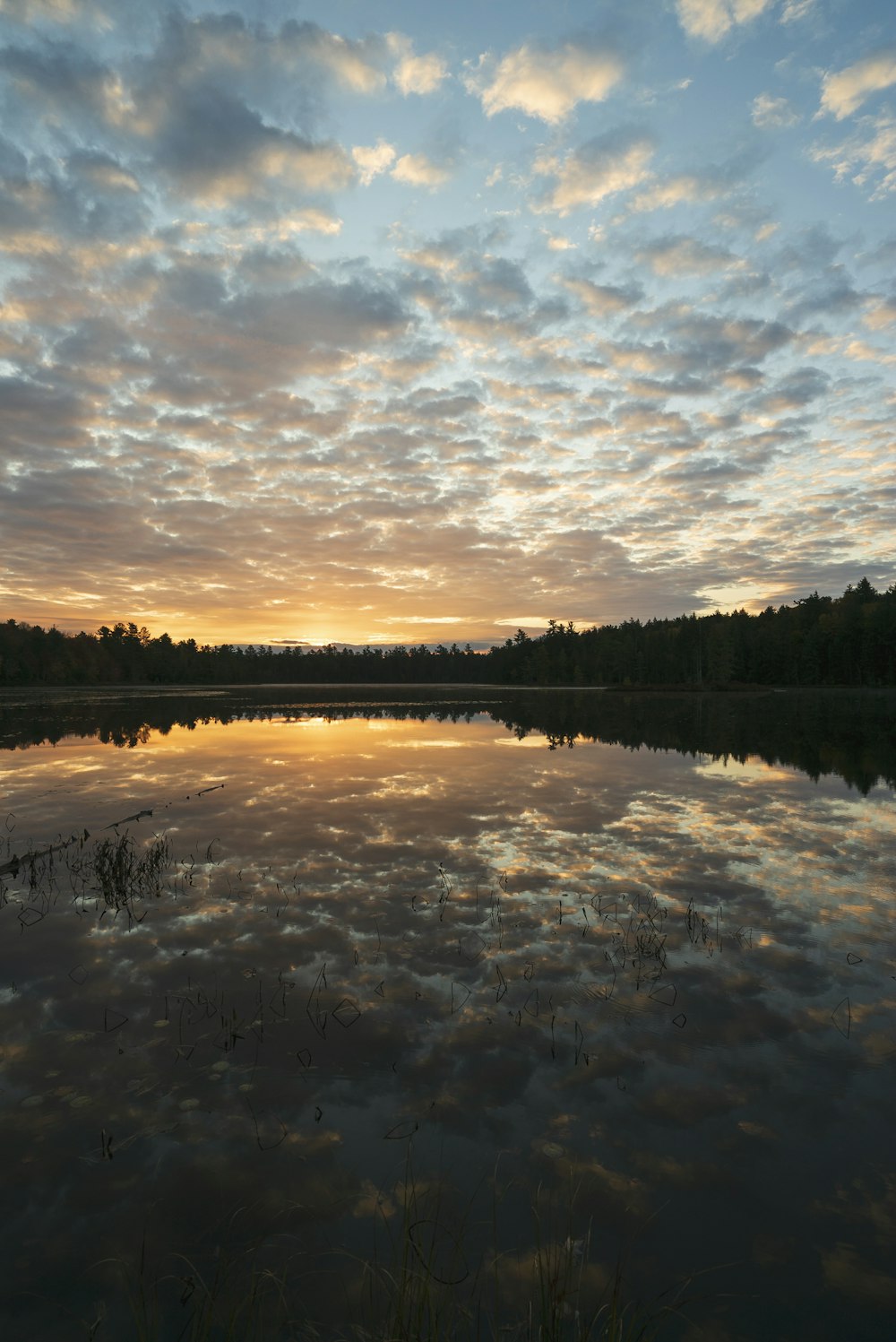 body of water near green trees under cloudy sky during daytime