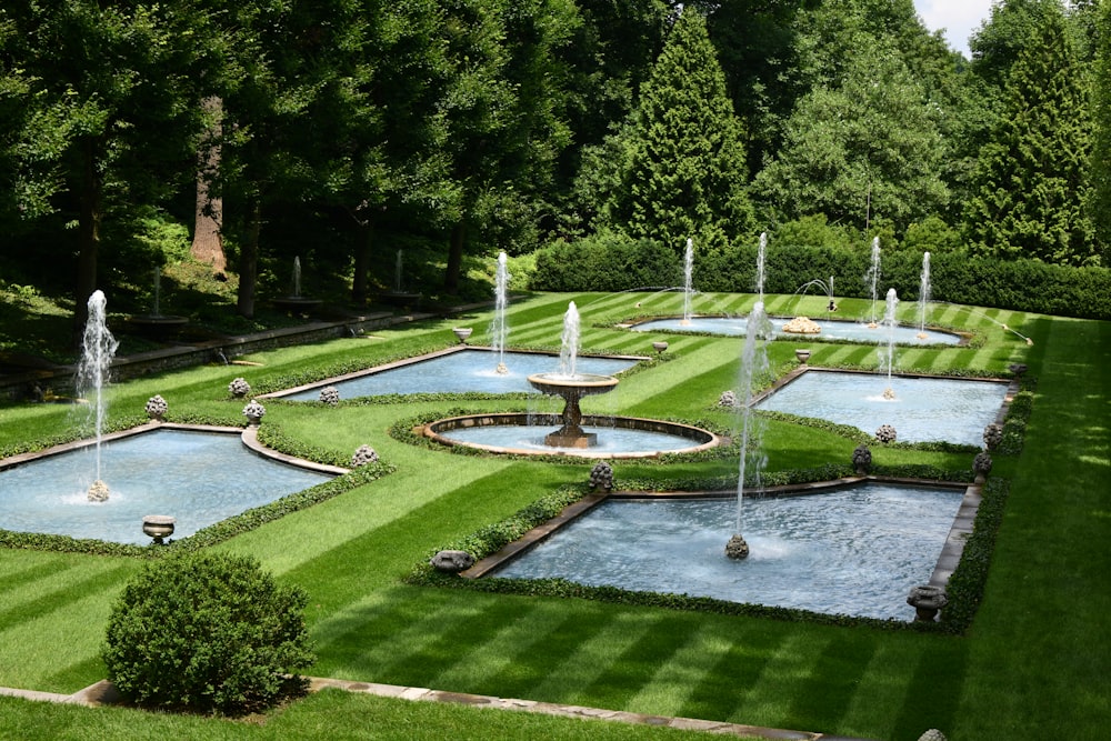 campo di erba verde con fontana d'acqua