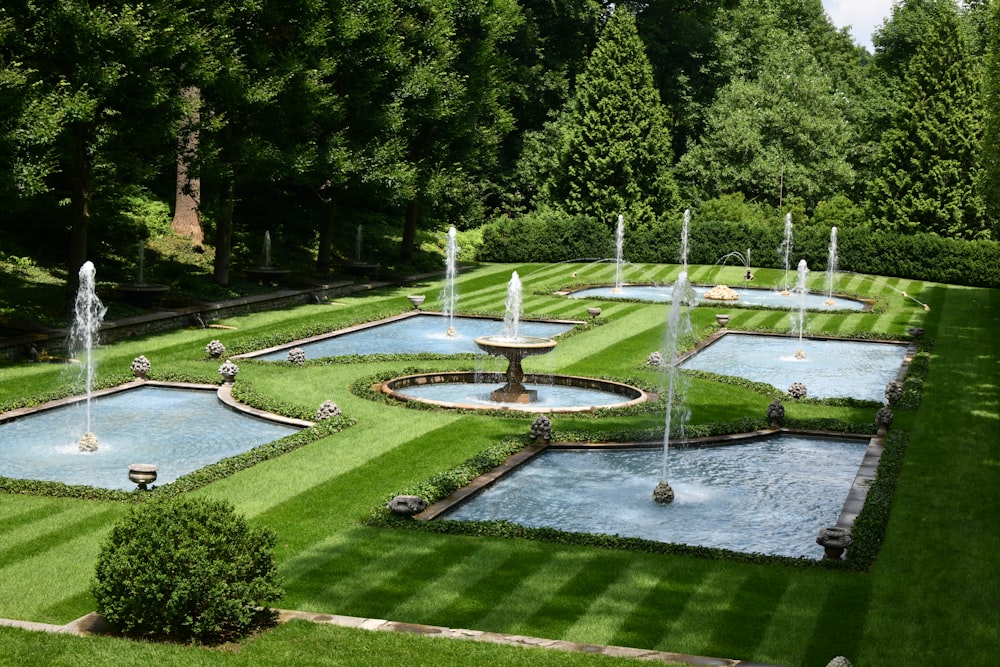green grass field with water fountain