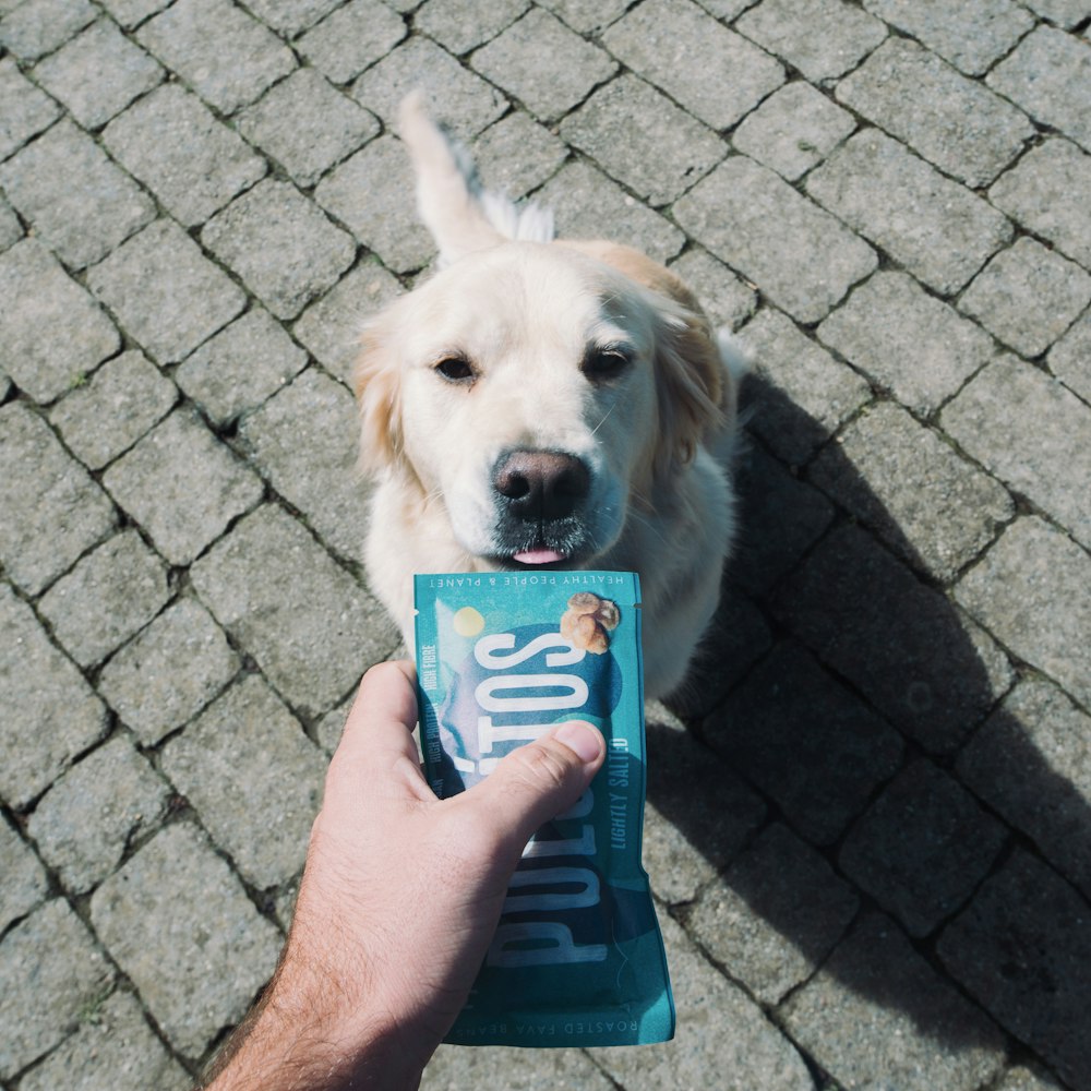 Person mit blau-weiß etikettierter Flasche