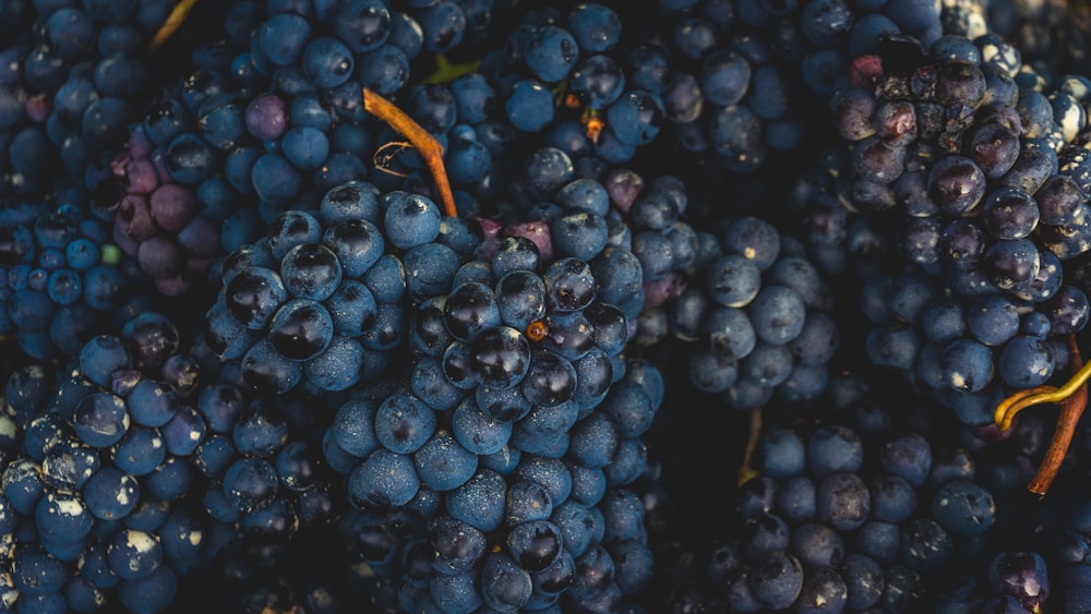 a close up of a bunch of grapes