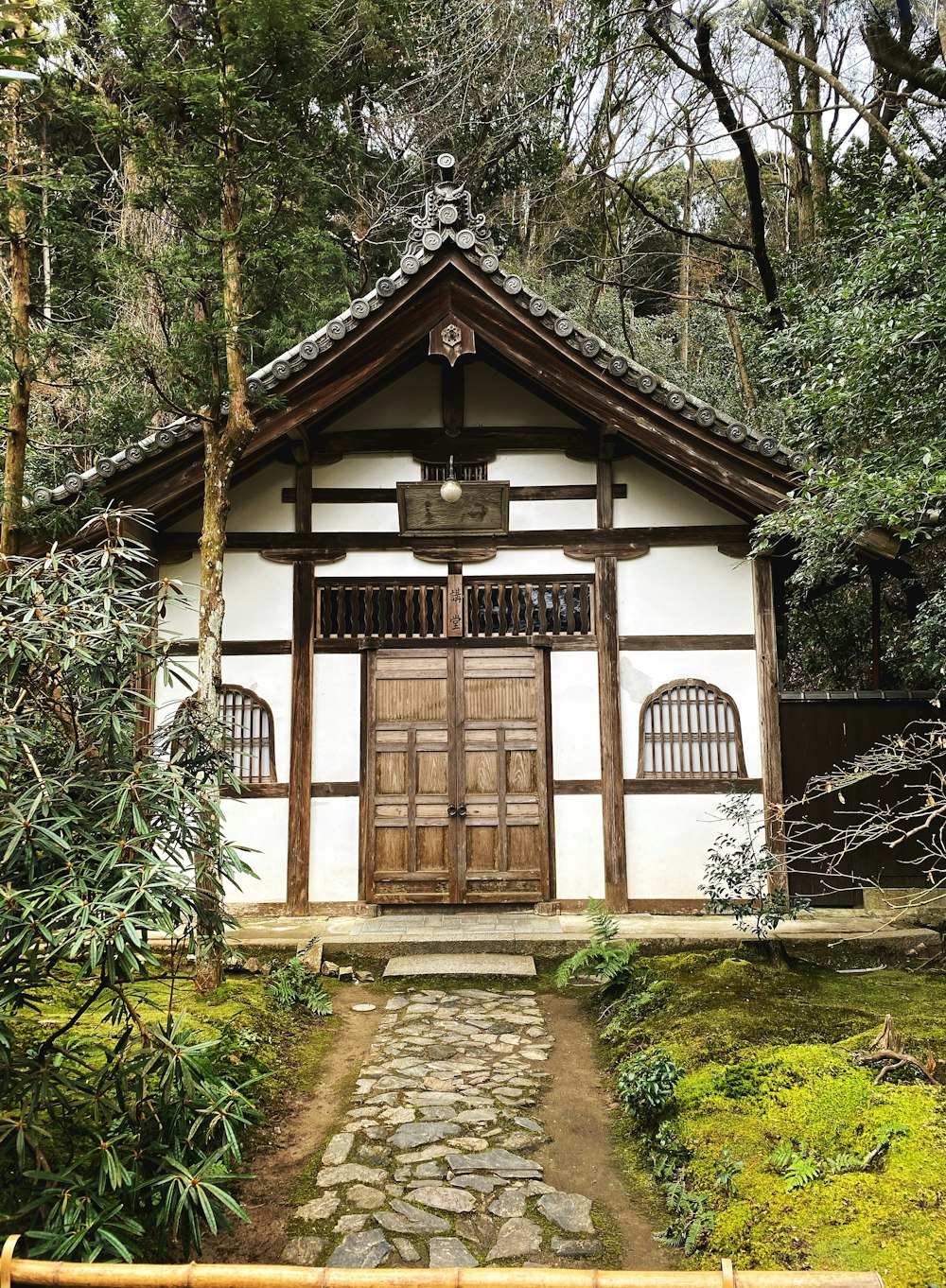 Casa de madera blanca y marrón rodeada de plantas verdes