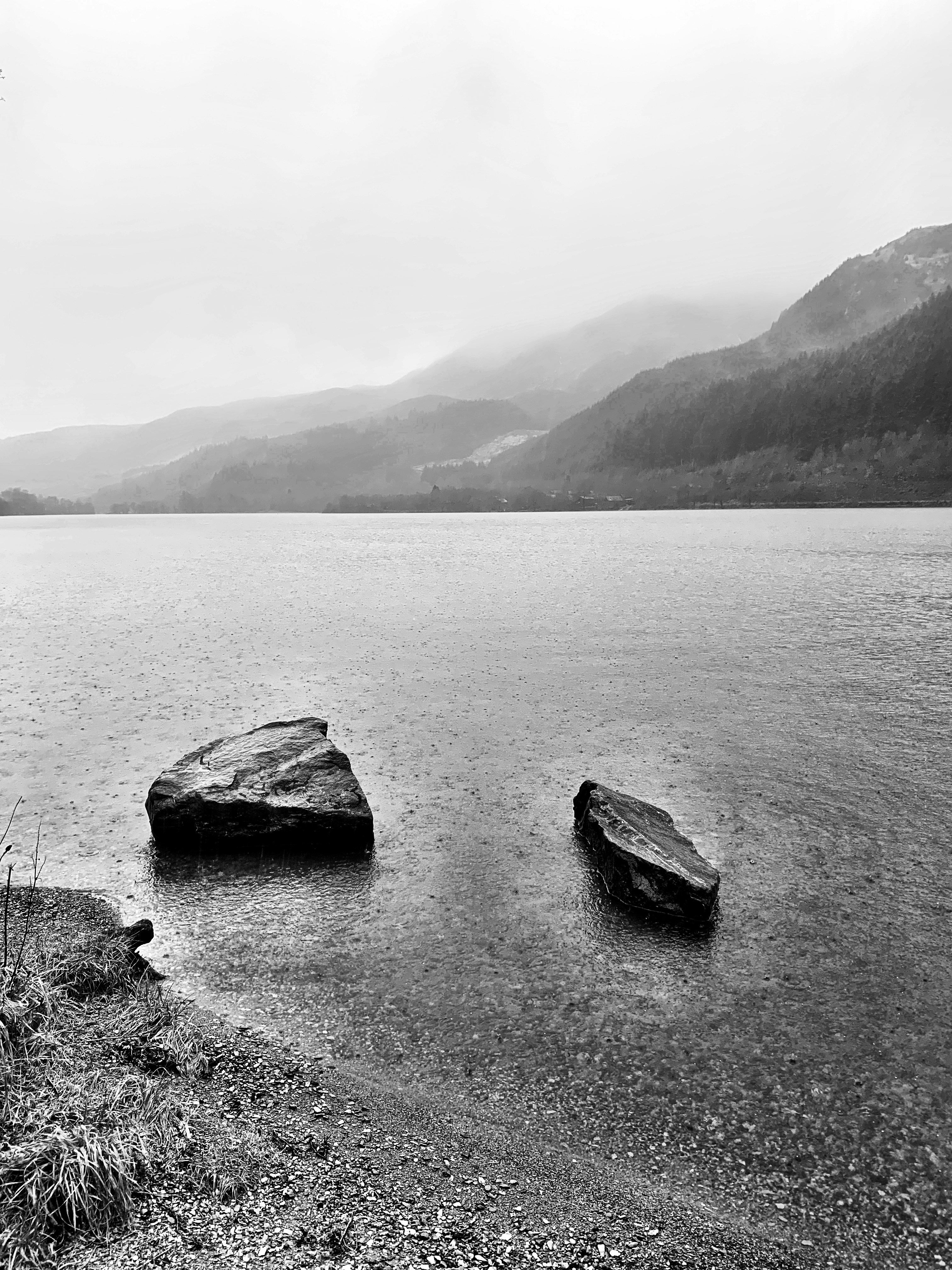 Photo by mimilili