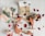 A flat lay of wedding accessories including a pair of peach-colored heeled sandals, a floral bouquet with pink and white flowers, and a white box with rings inside. Red and cream-colored rose petals are scattered around, with a small basket filled with similar petals.