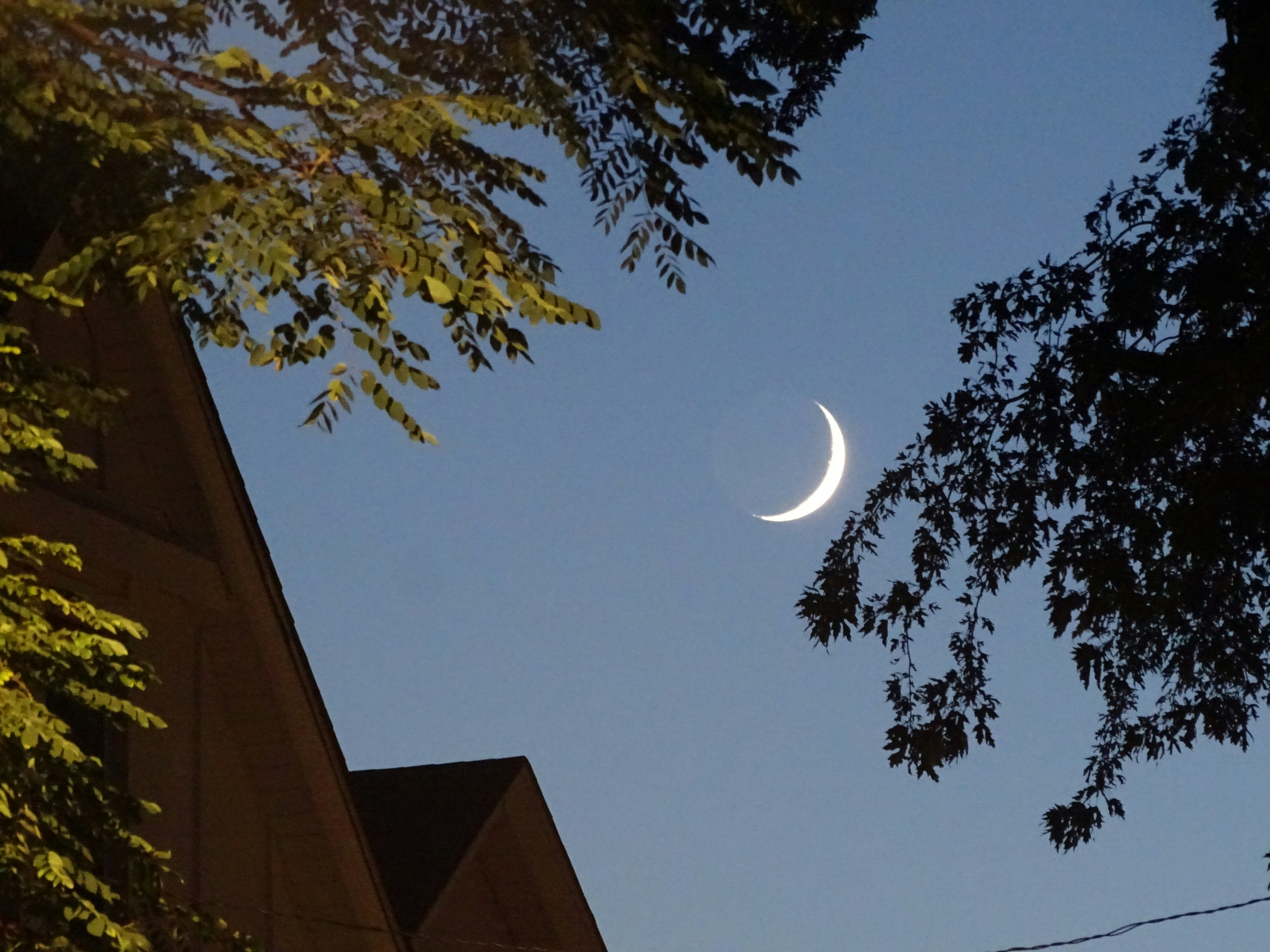 ramadan crescent moon, wallpaper, Kapan Puasa 2026? Jadwal Lengkap dan Persiapan 6