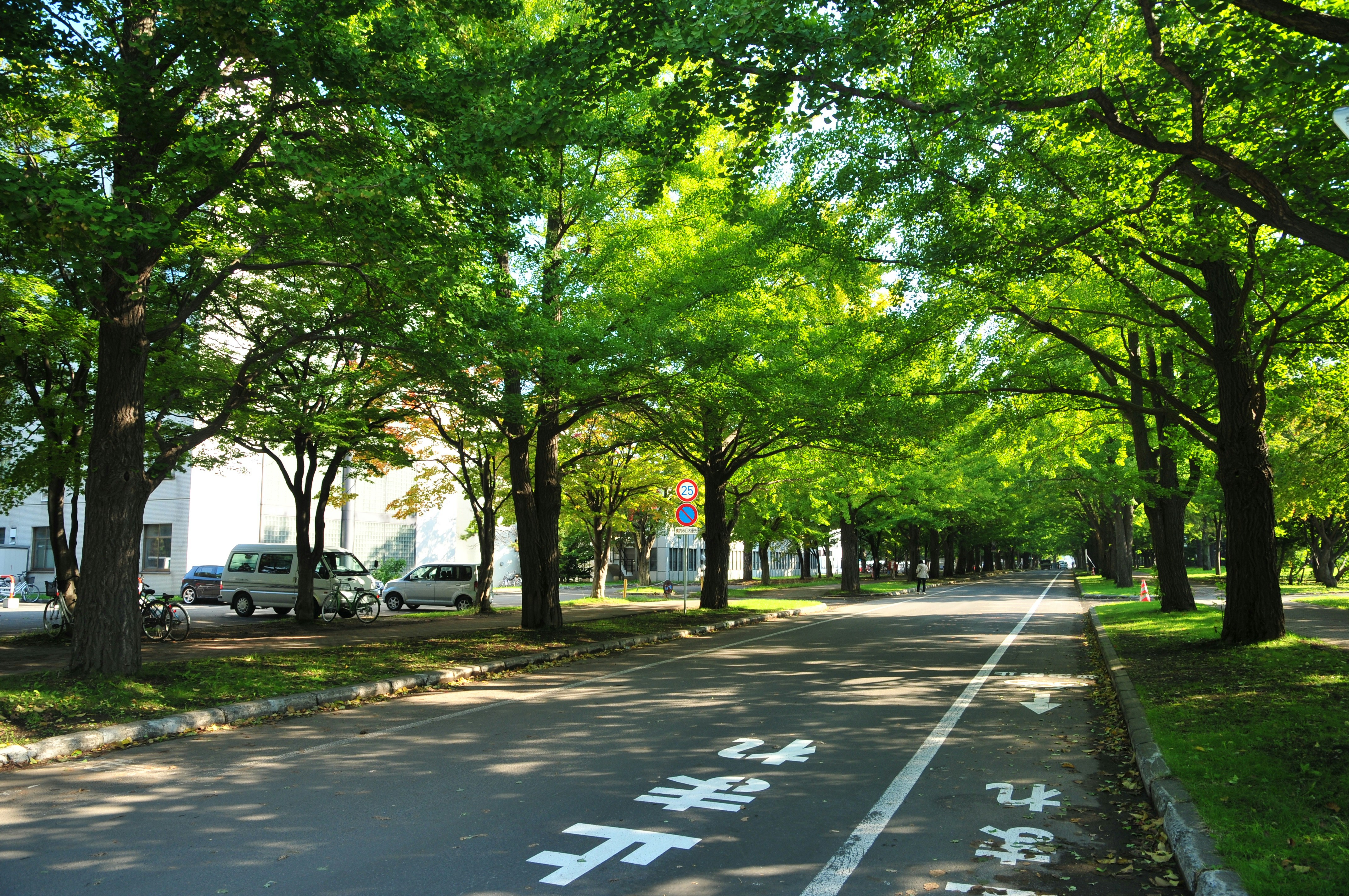 Photo by jackyfish_image