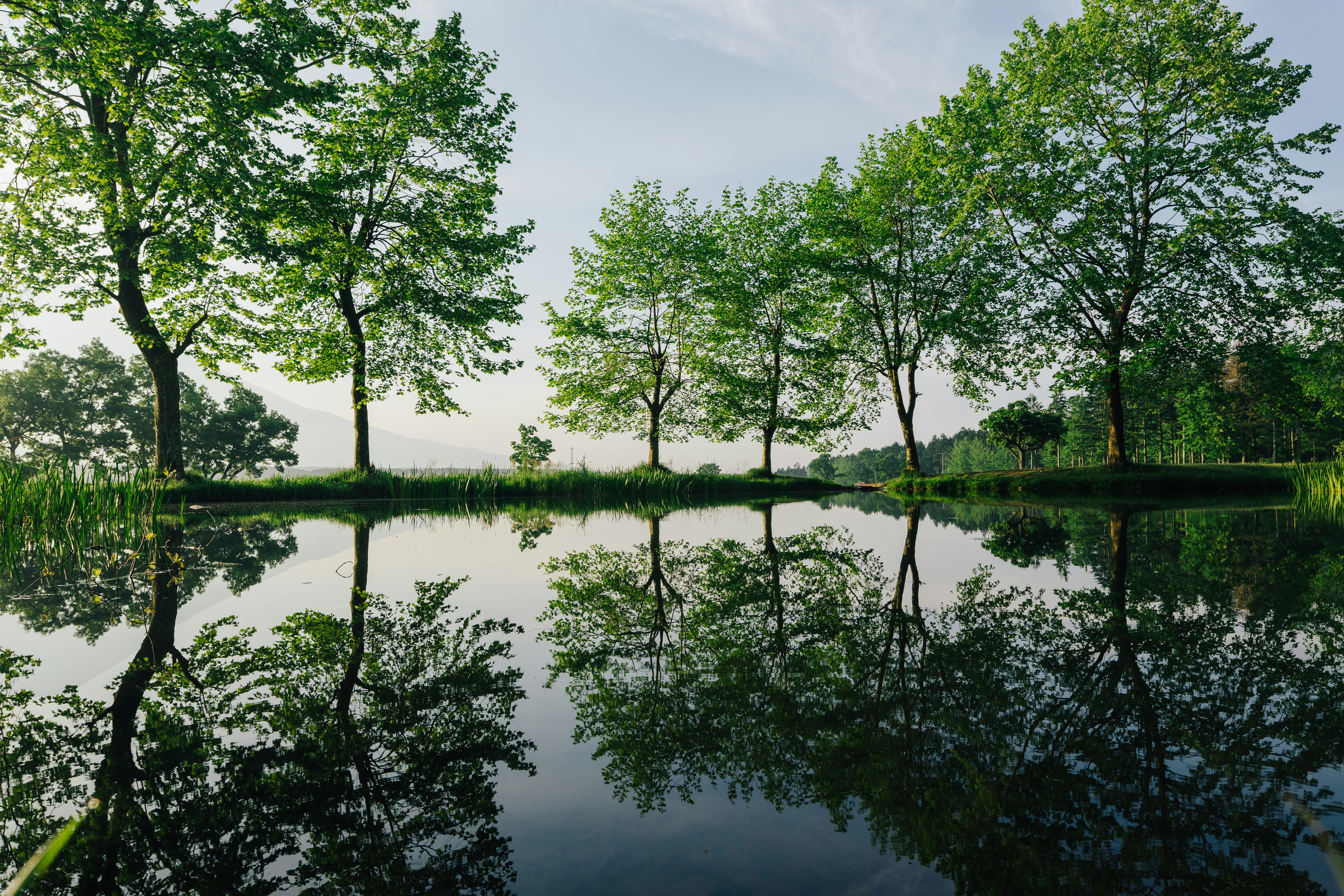 Photo by _______life_