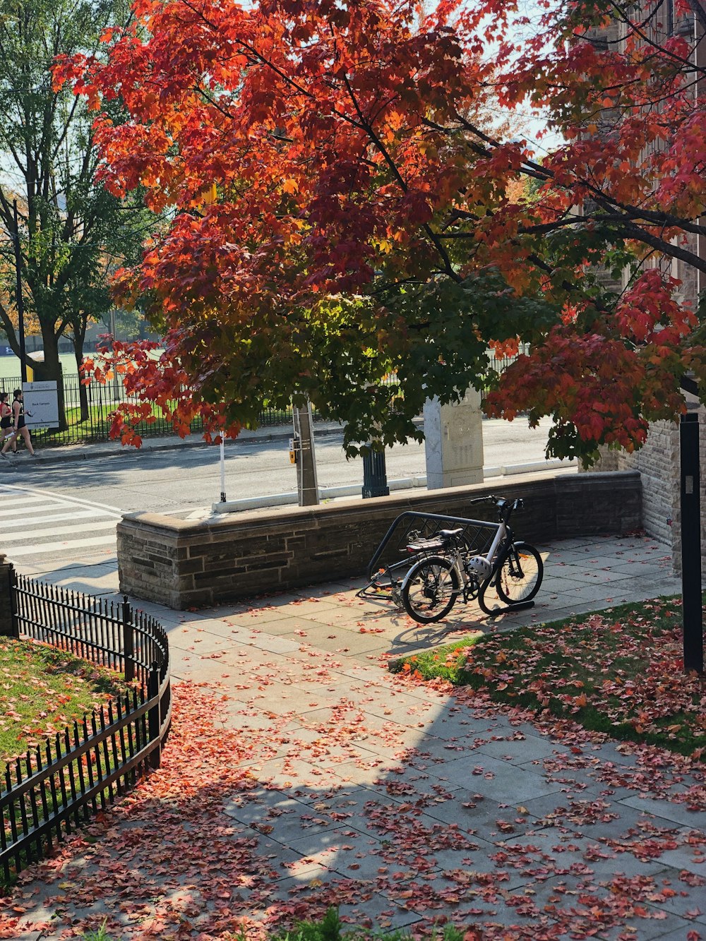 昼間、緑と茶色の木々の近くの灰色のコンクリートのベンチに停められた黒い自転車