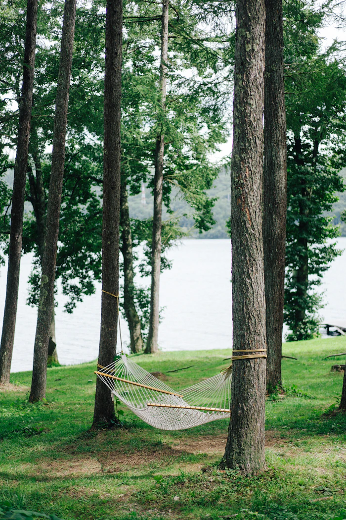 A green hammock tied to a tree near water