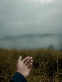 A friendly agent shaking hands with a landowner beside a green open field.