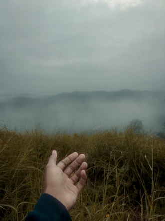 A friendly agent shaking hands with a landowner beside a green open field.