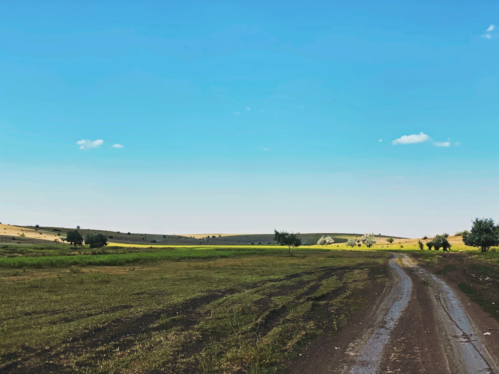 green grass field beside road under blue sky during daytime