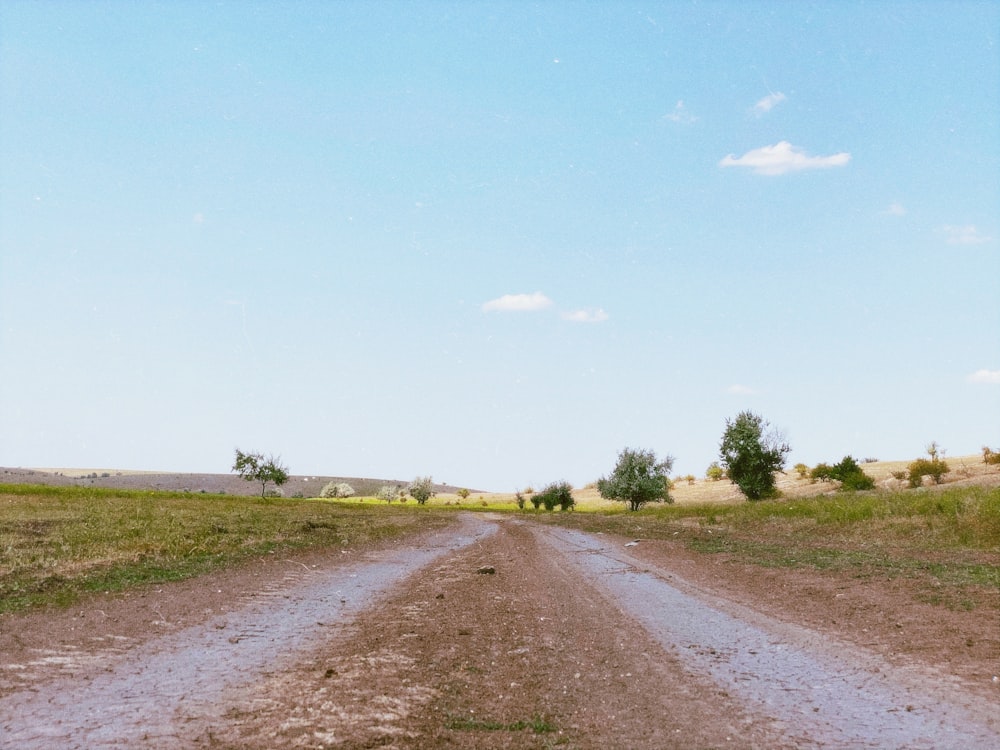 green grass field under blue sky during daytime