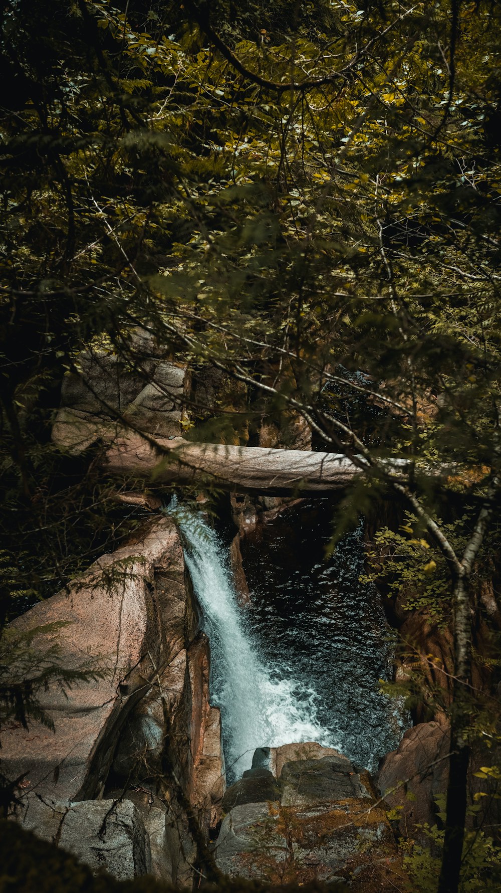 water falls in the middle of the forest