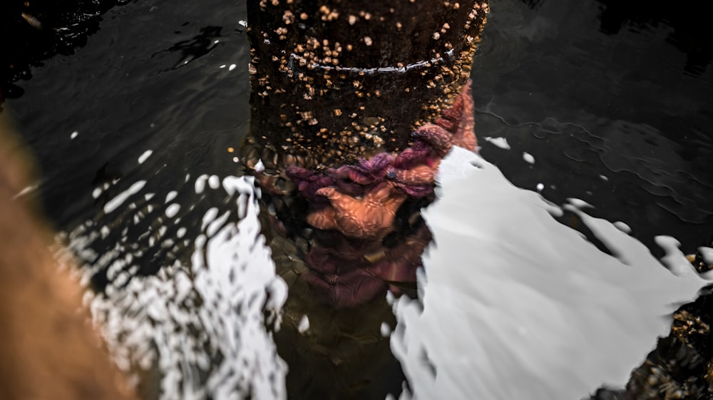 man in water with water splash