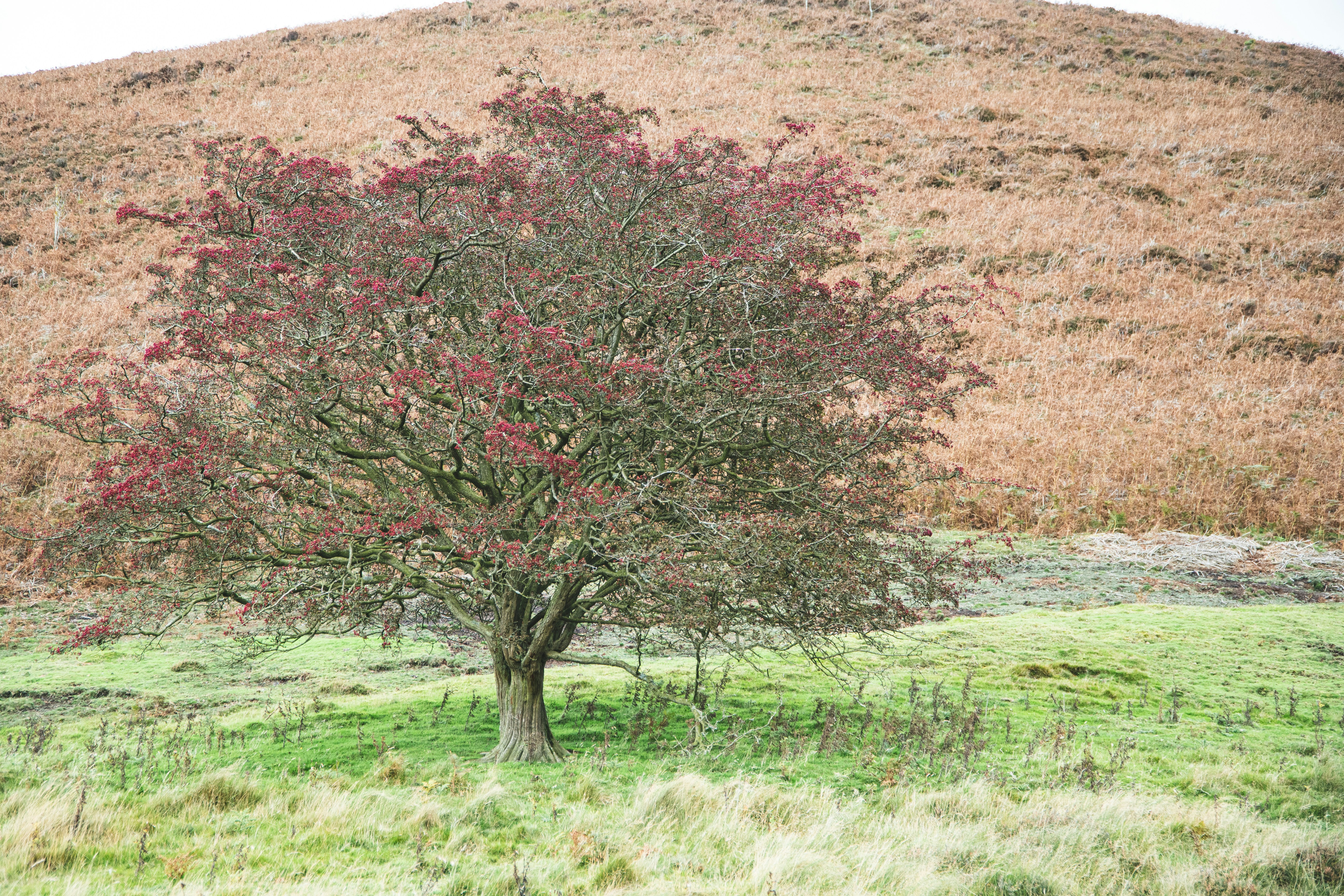 Photo by lukethorntonofficial