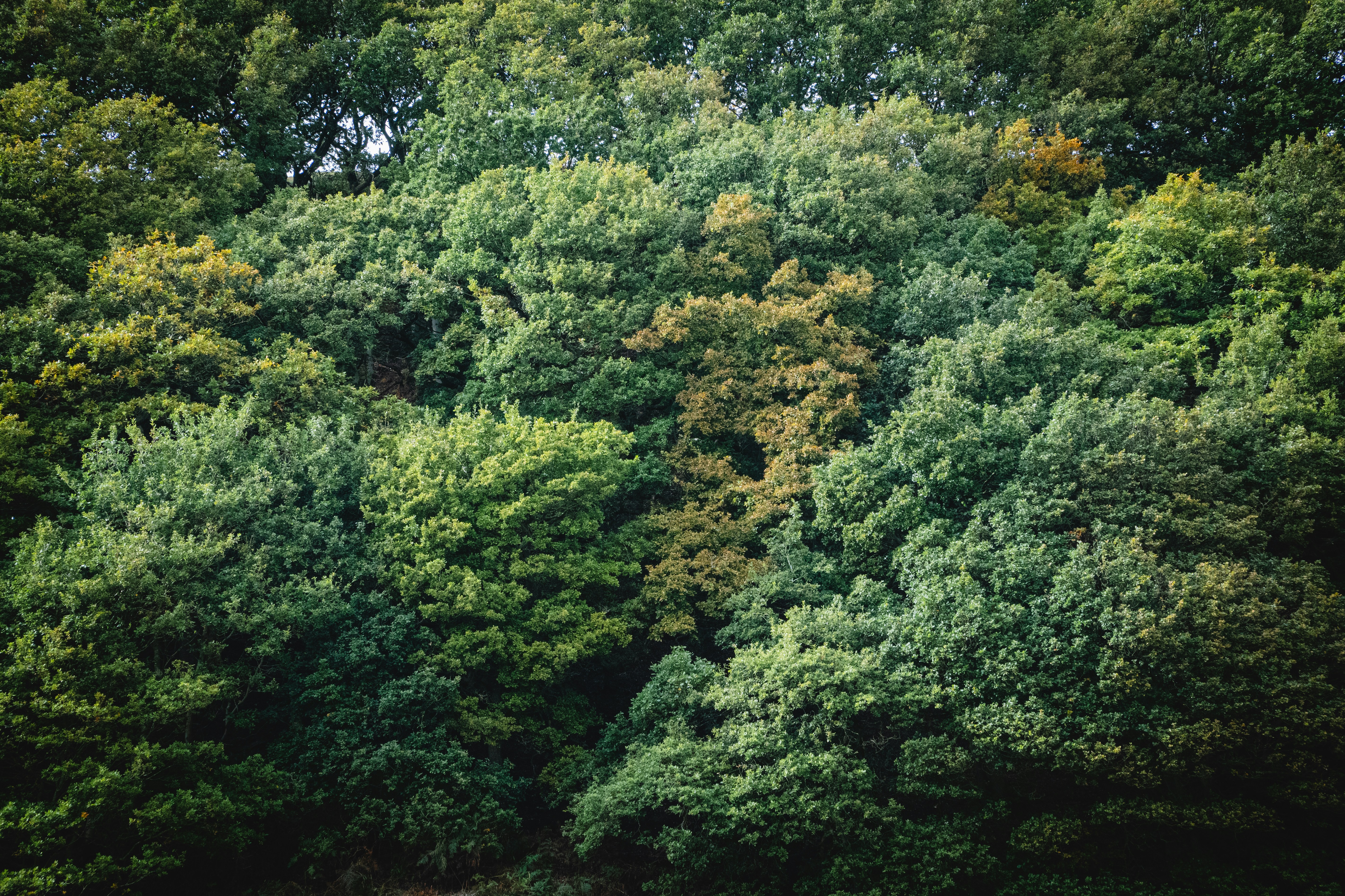 Photo by lukethorntonofficial