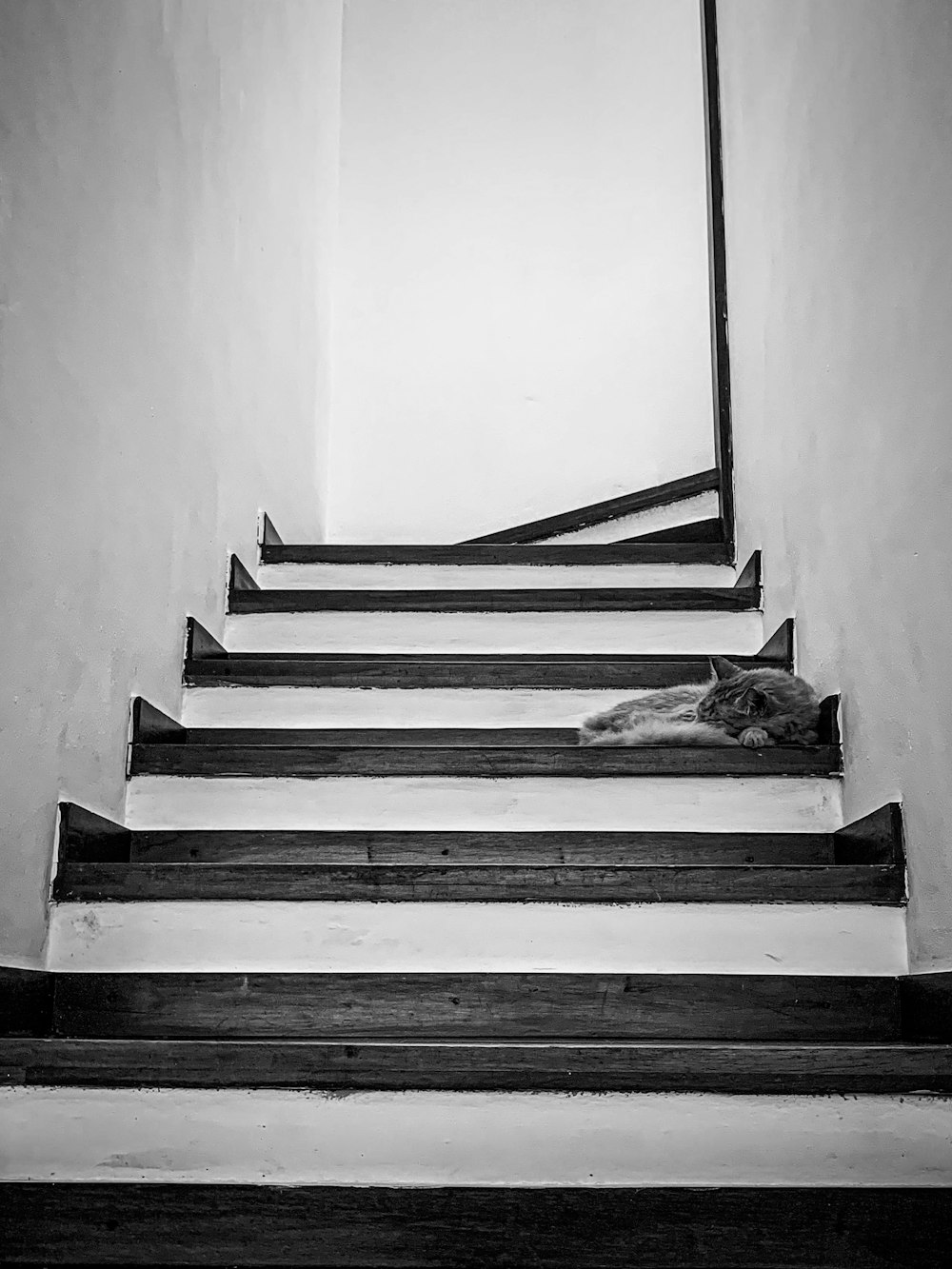 grayscale photo of concrete staircase