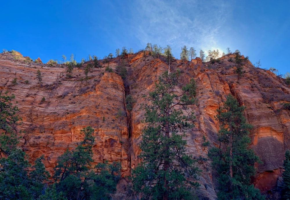 green trees on brown rocky mountain under blue sky during daytime