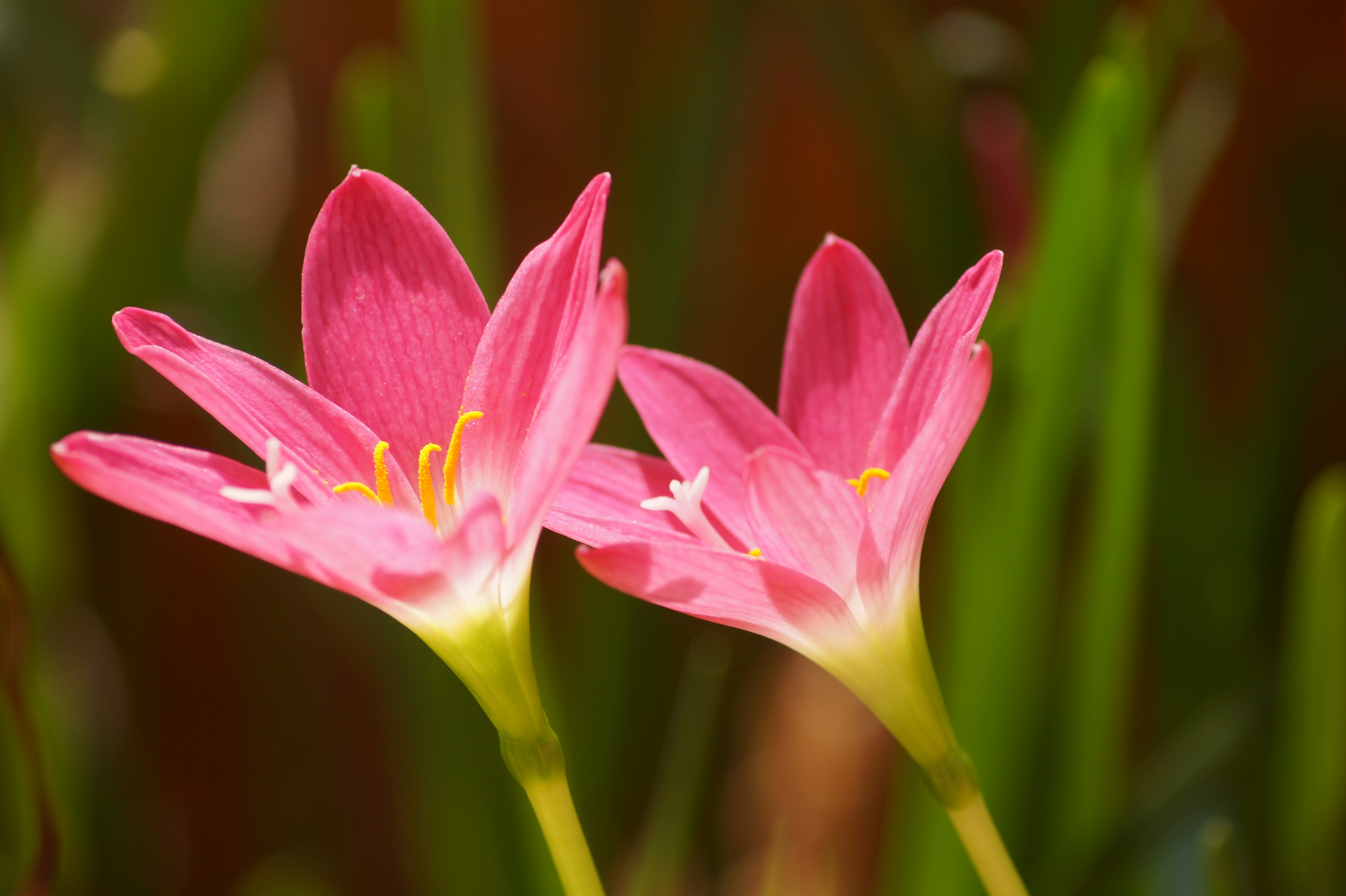 Photo by smartdicson