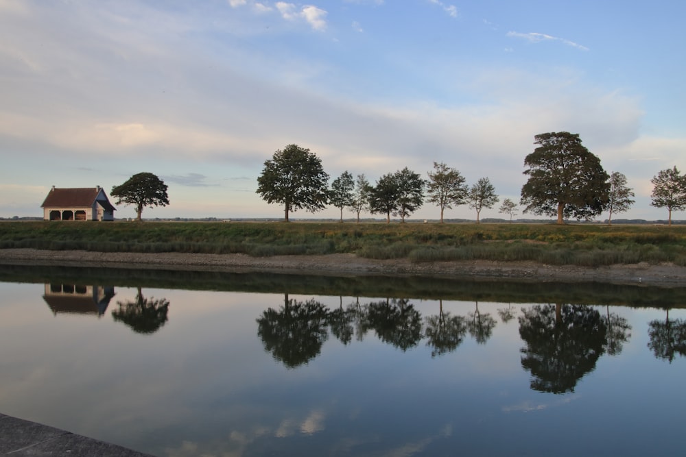 green trees near lake under blue sky during daytime