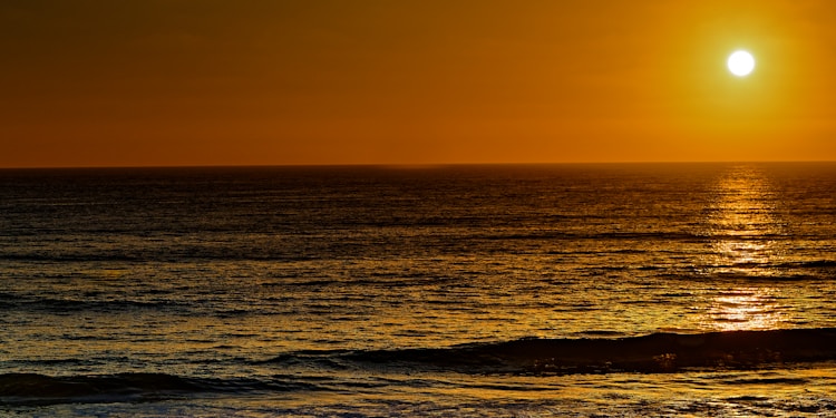 silhouette of people on beach during sunset