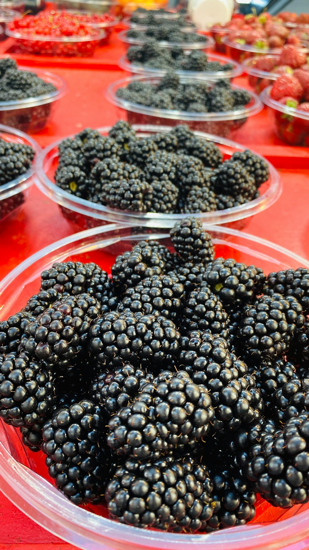 black berries in clear plastic container