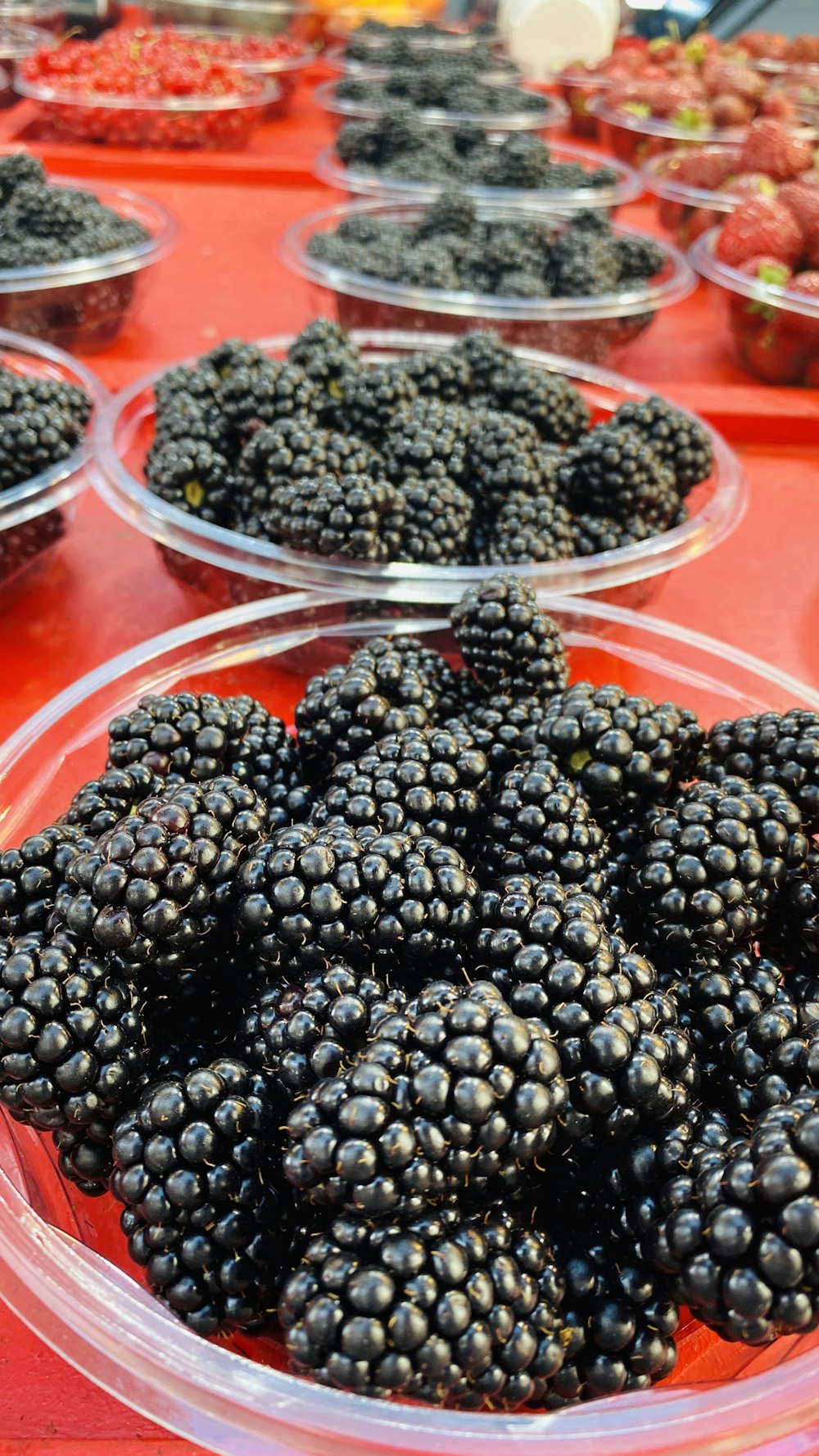 black berries in clear plastic container