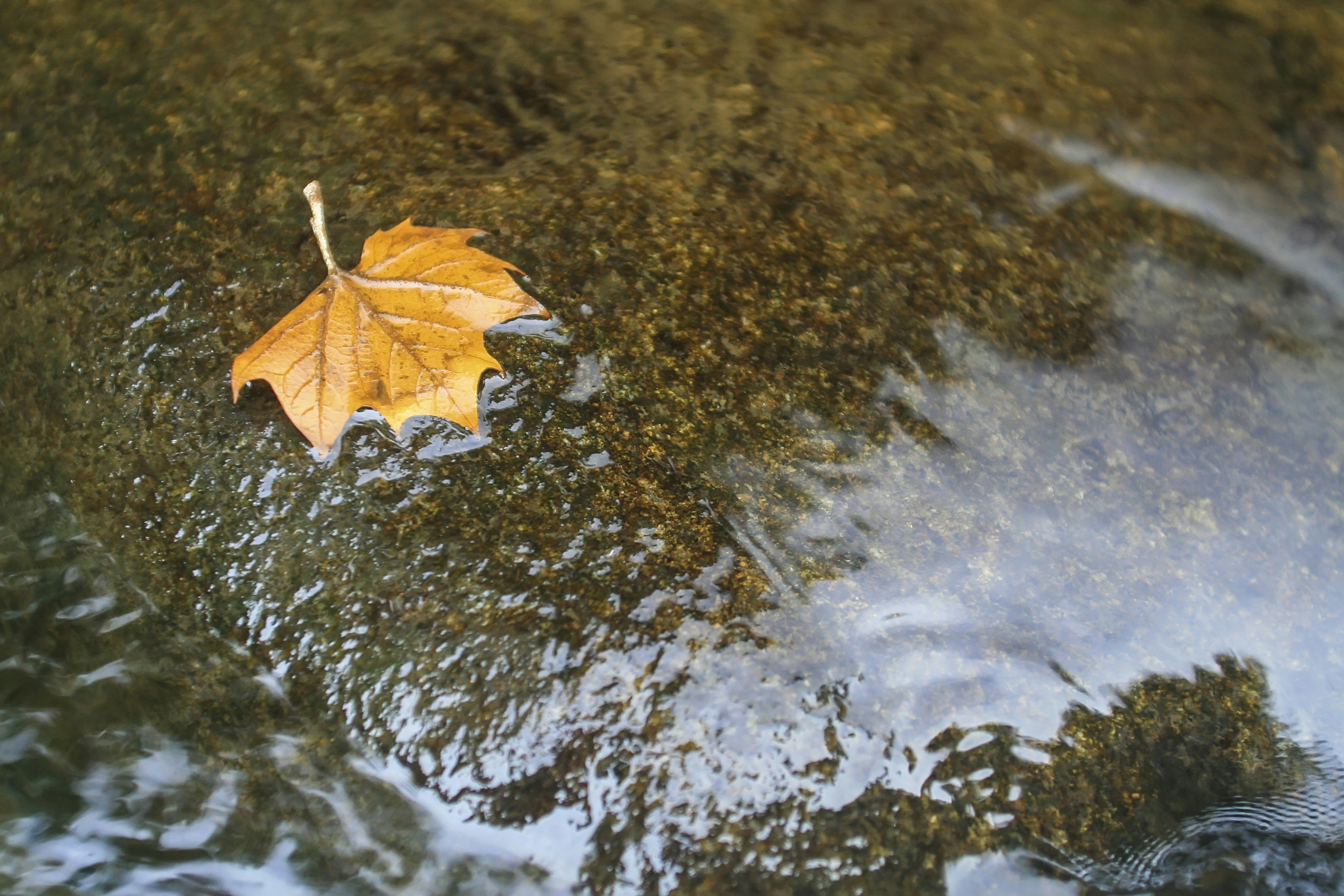 Photo by rocinante_11