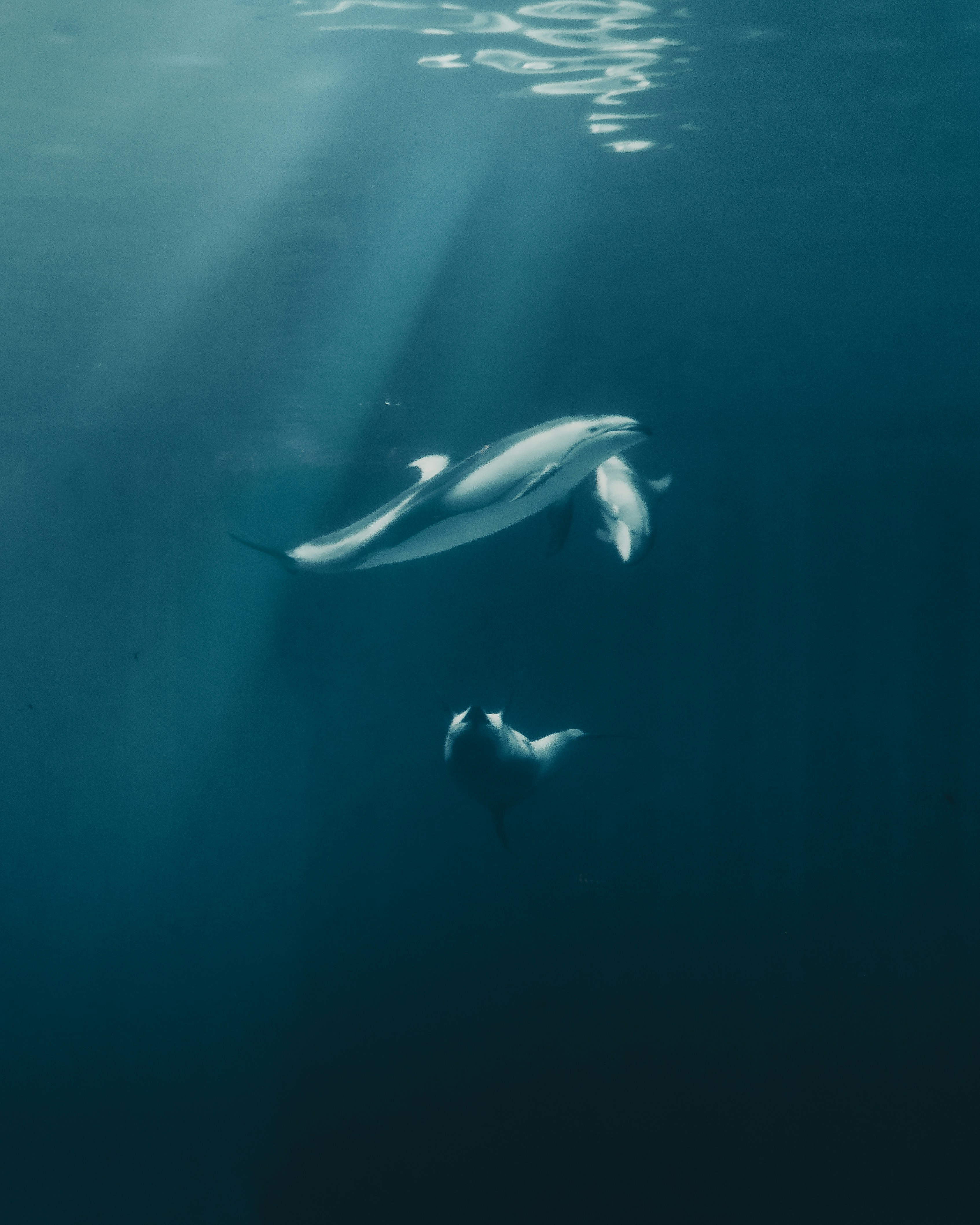 NASA astronaut Kate Rubins votes from the ISS: “If we can... 