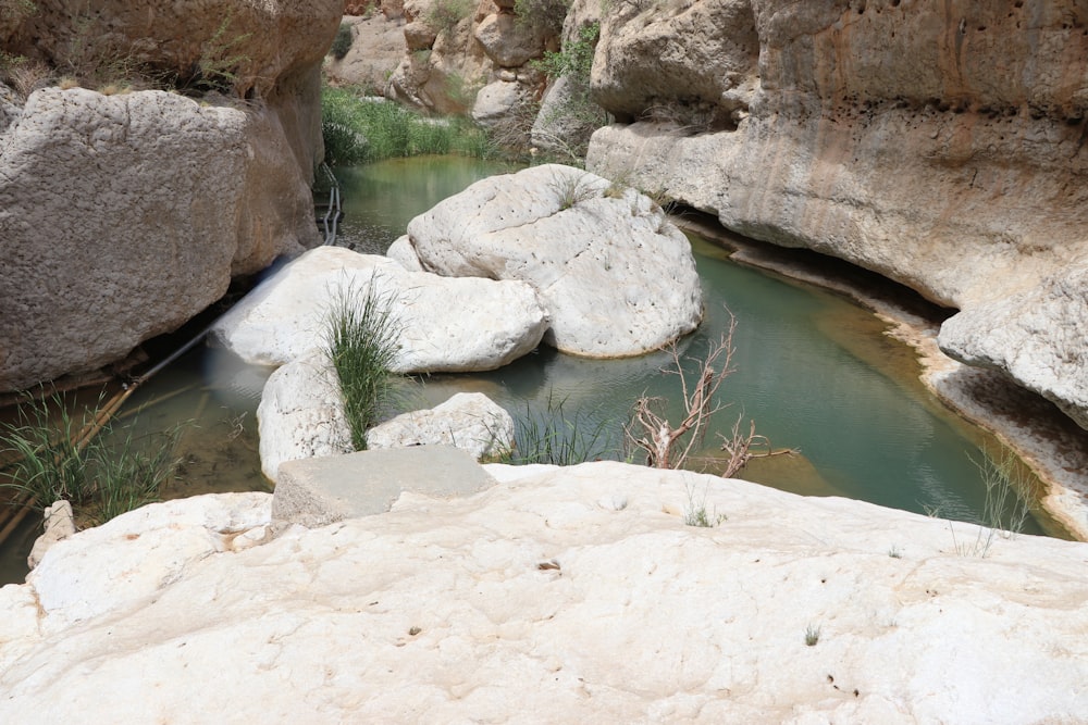 Formación rocosa blanca junto al cuerpo de agua durante el día