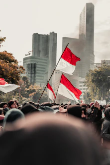 people gathering on street during daytime