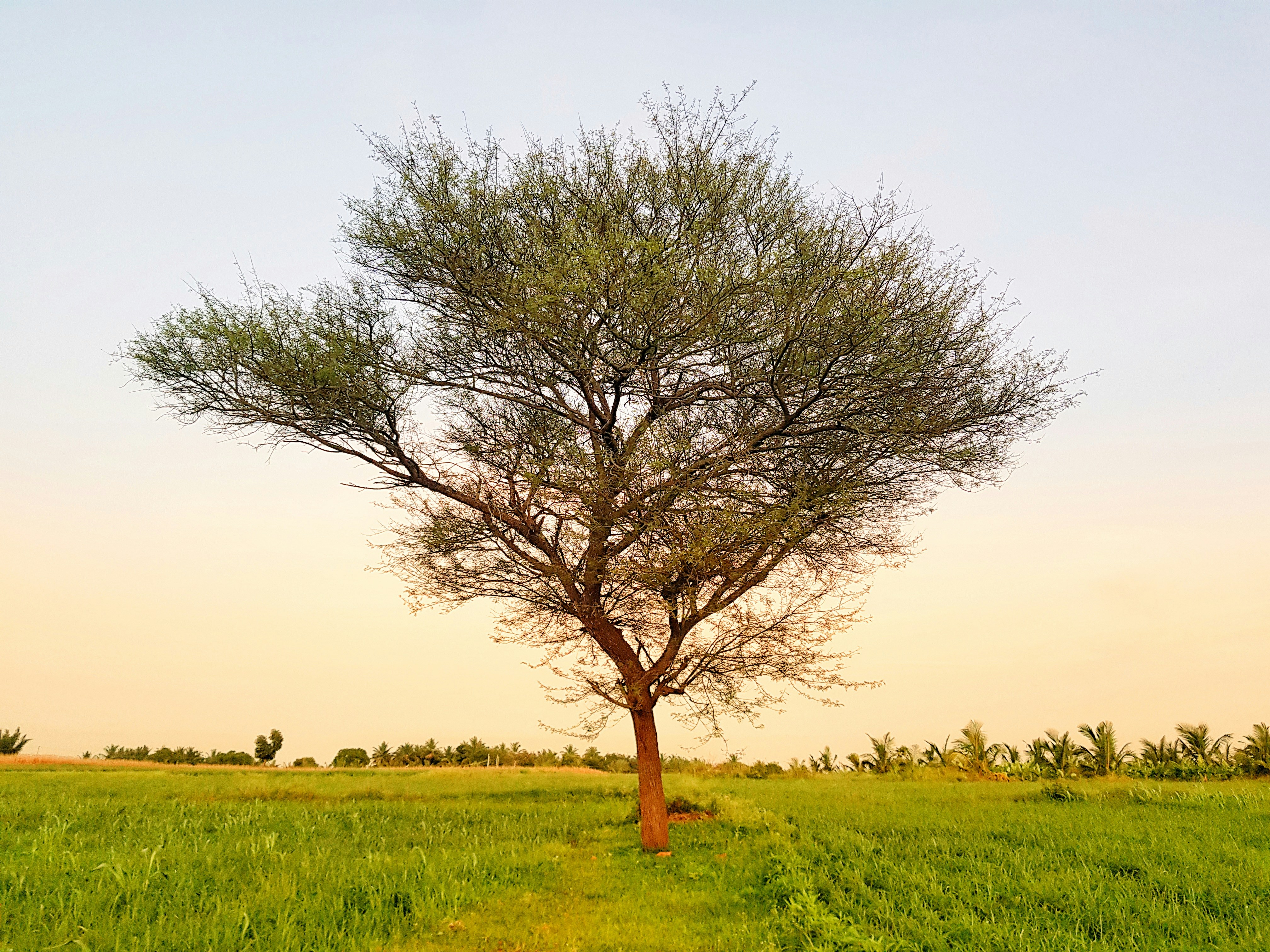 Photo by pruthvi_sagar