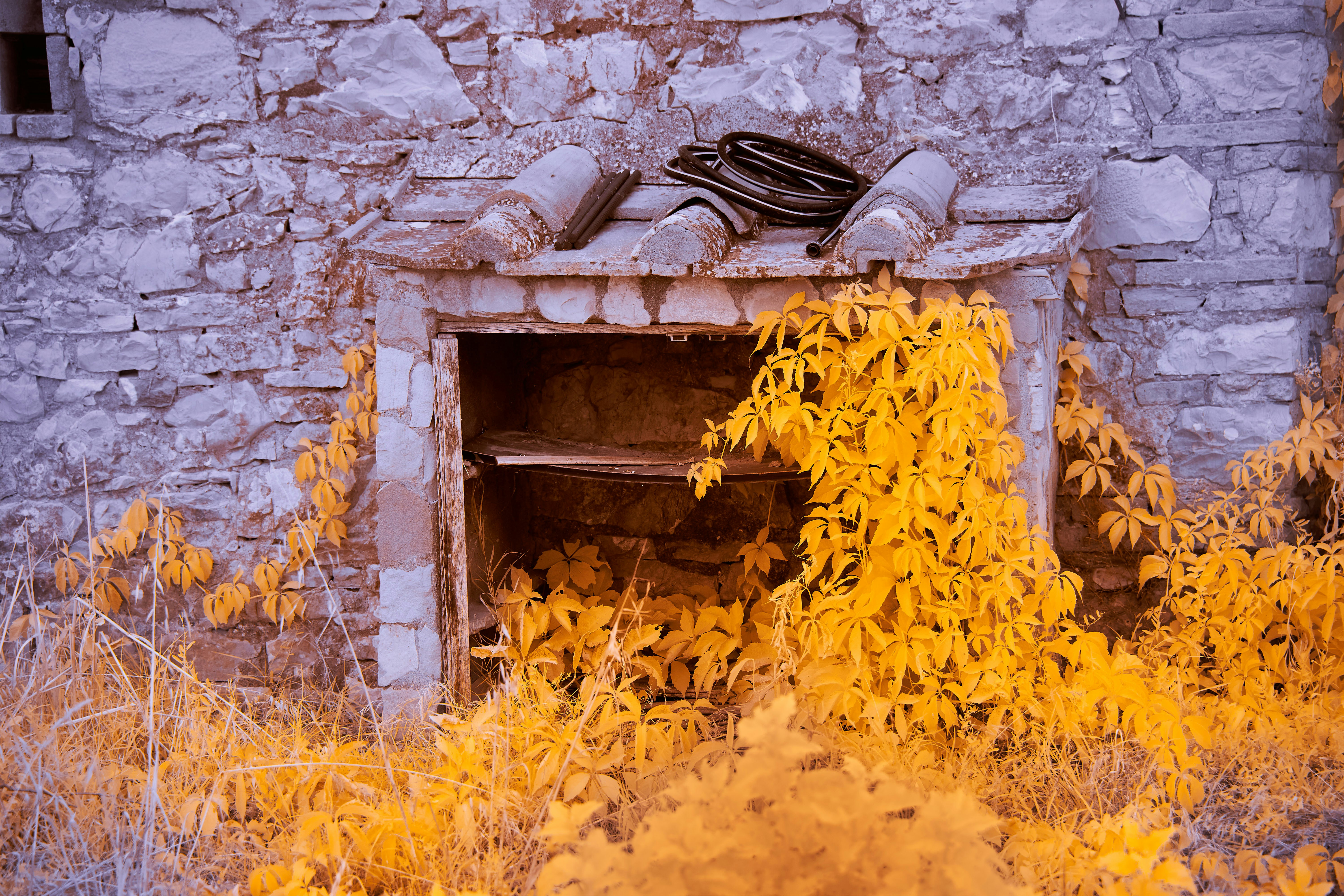 A brick fireplace with a bunch of yellow leaves around it