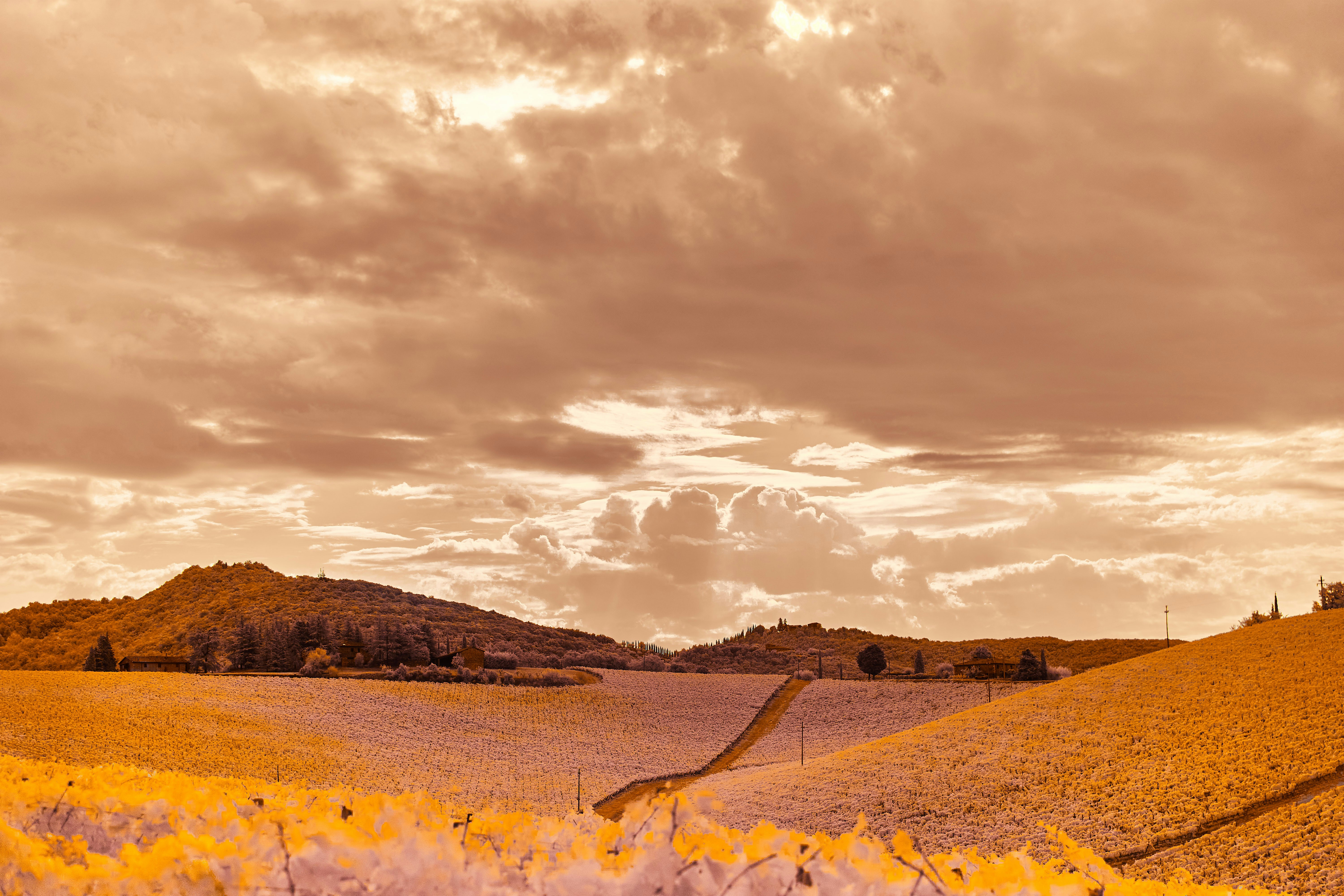 Brown field under cloudy sky during daytime