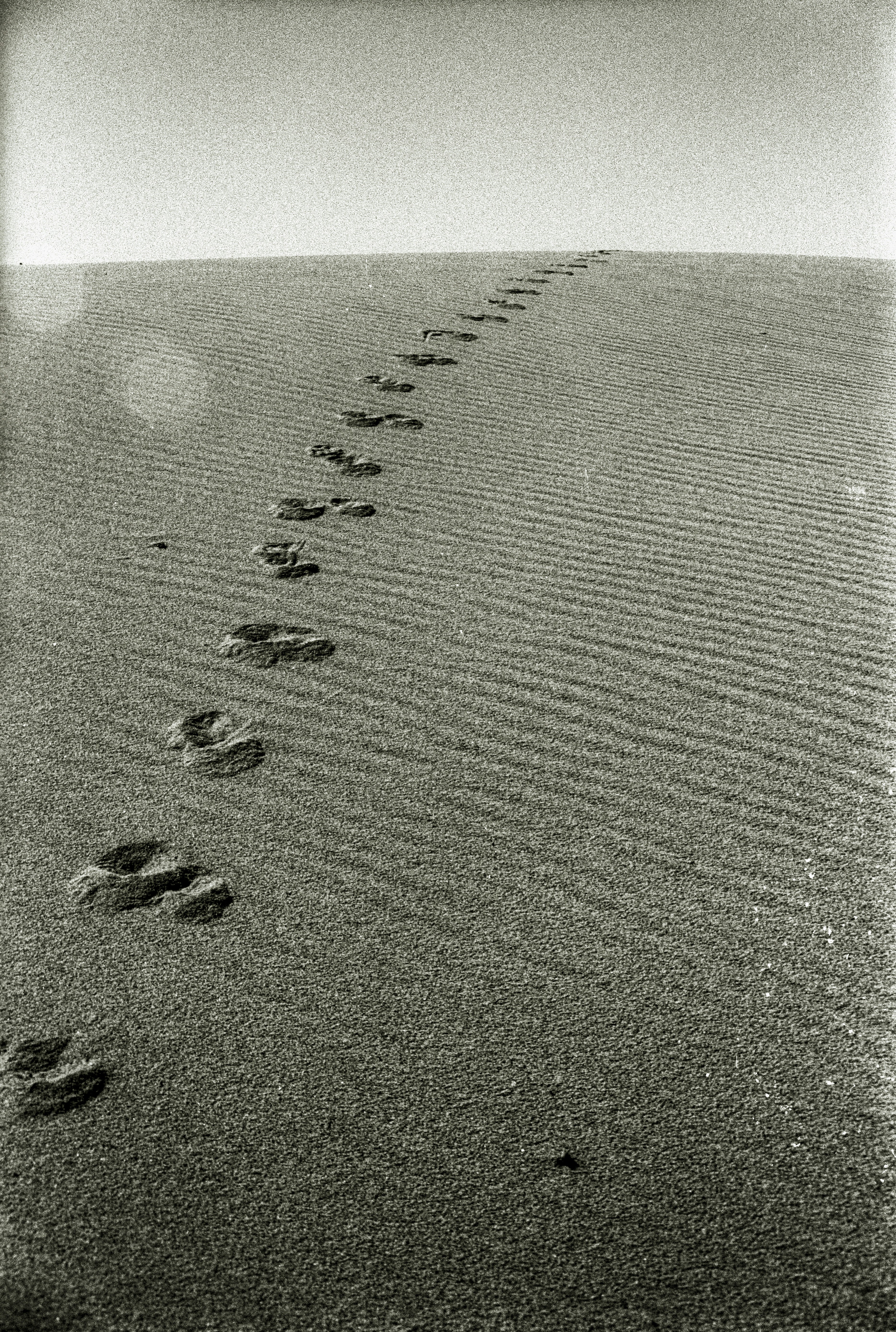 Walking Forward Pictures | Download Free Images on Unsplash