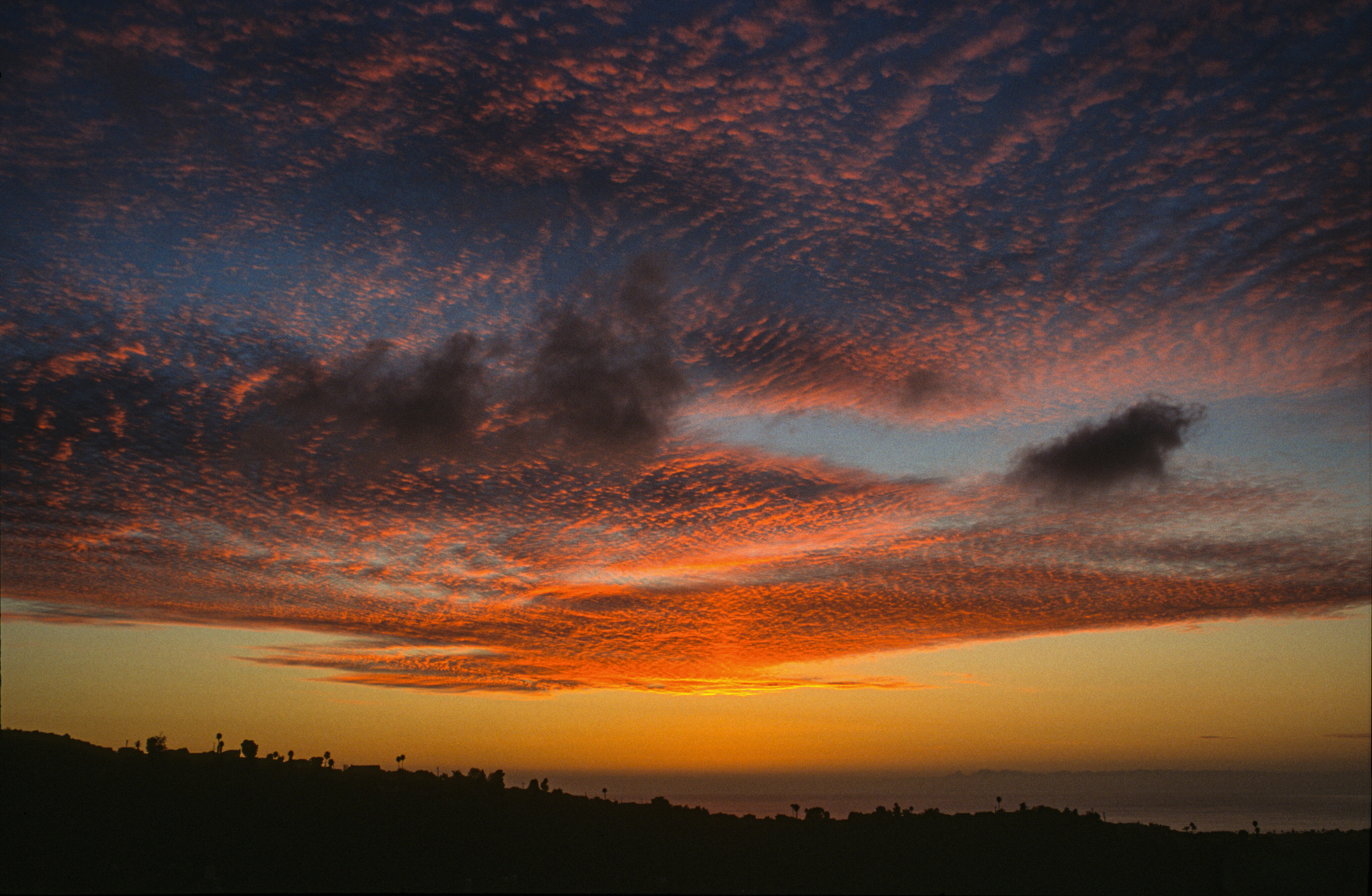 Photo by rocinante_11