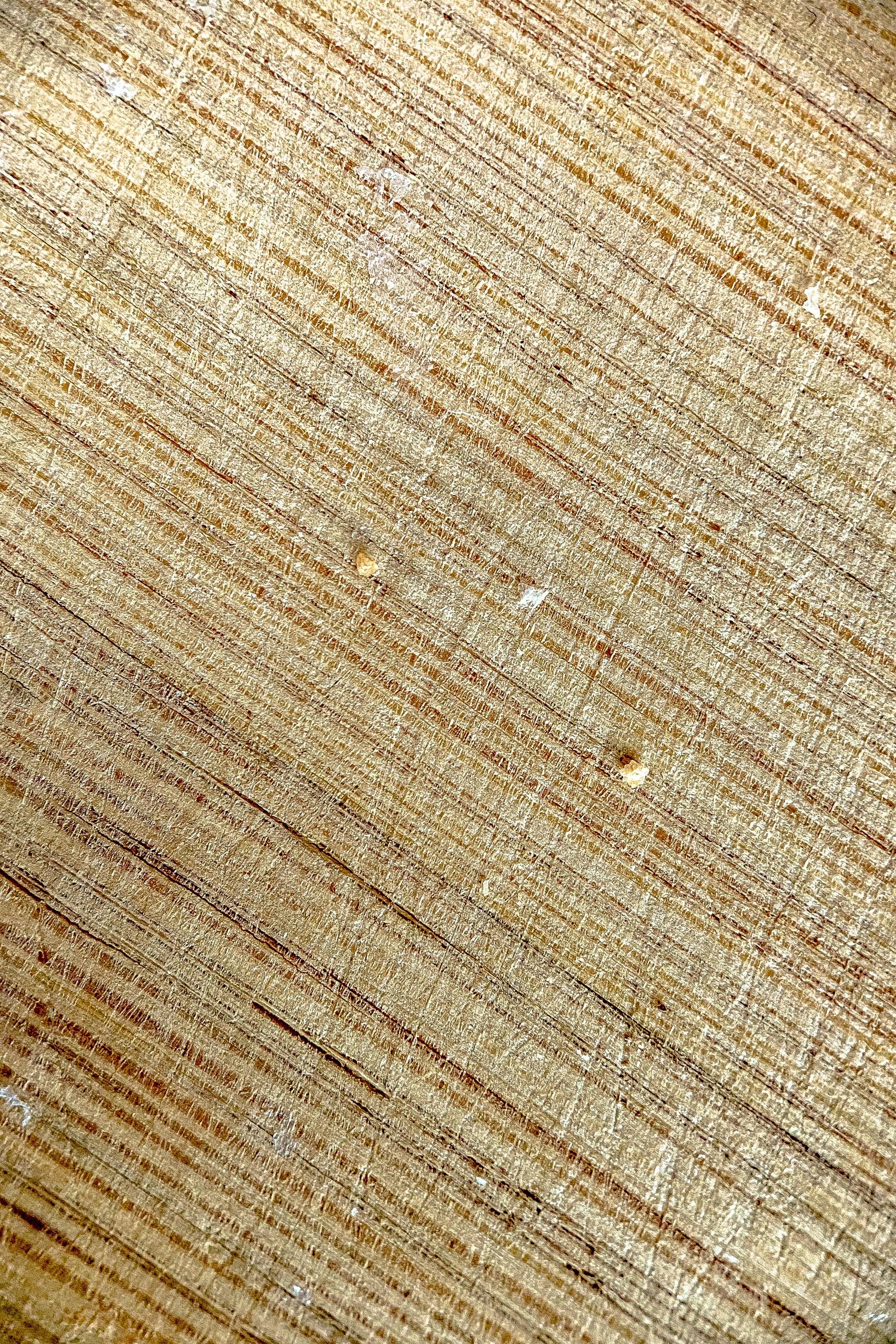 How Drug Courts Succeed and Fail at Reducing Addiction and Crime