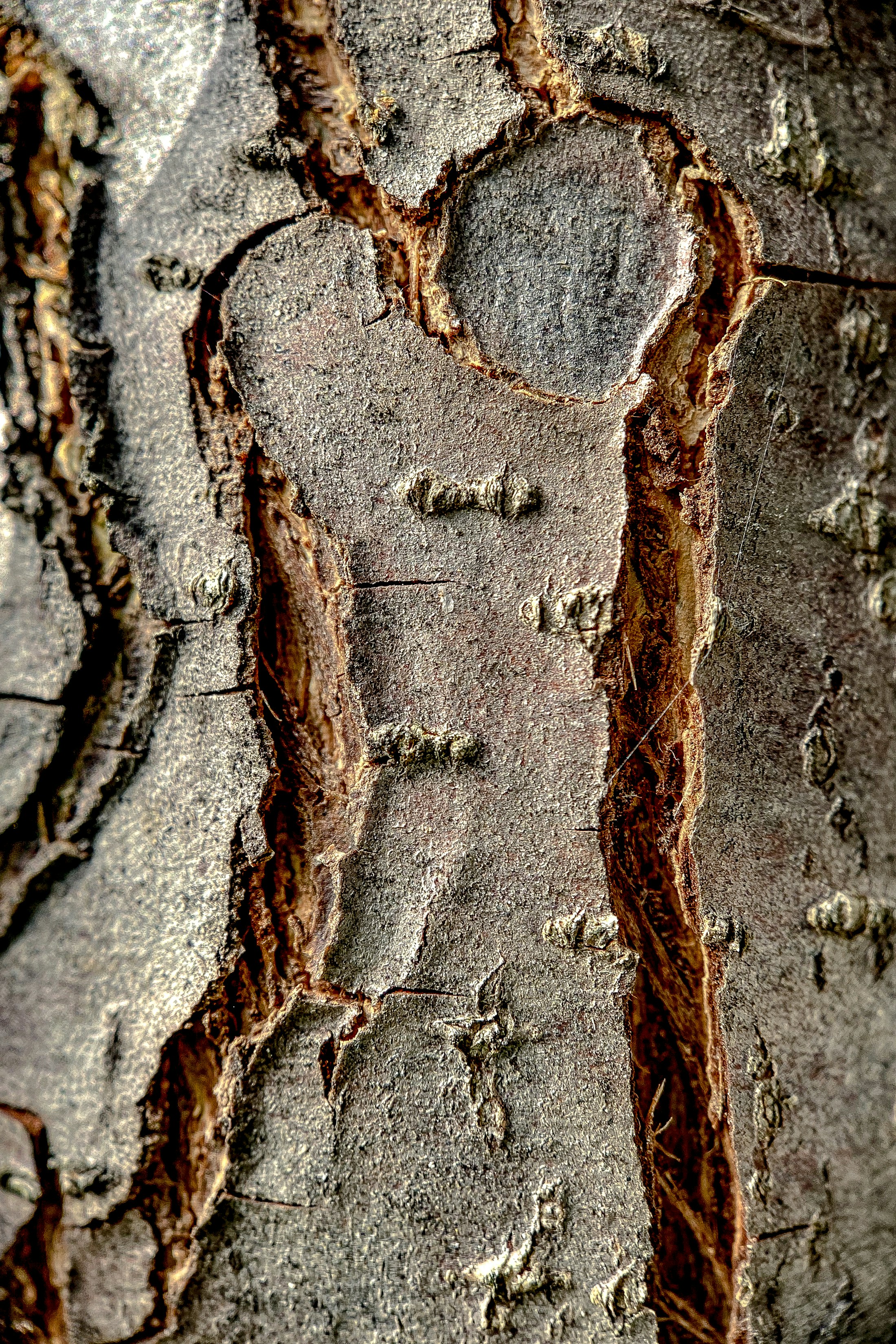 Photo by solenfeyissa