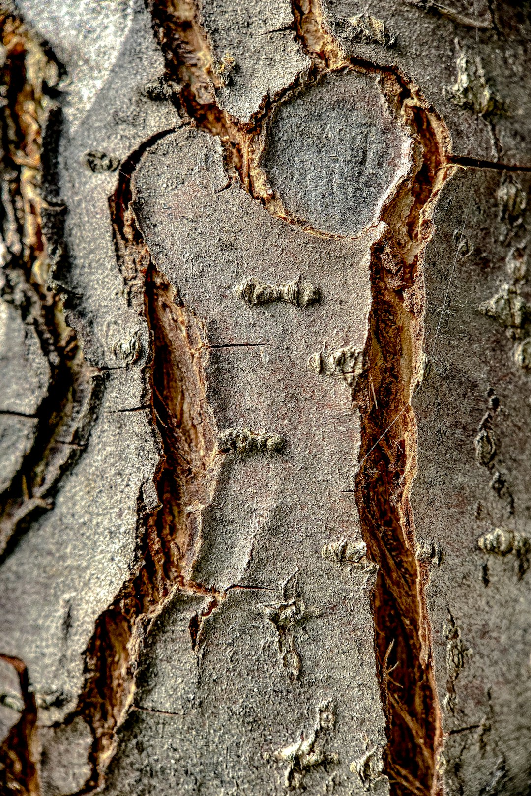 brown and white concrete wall