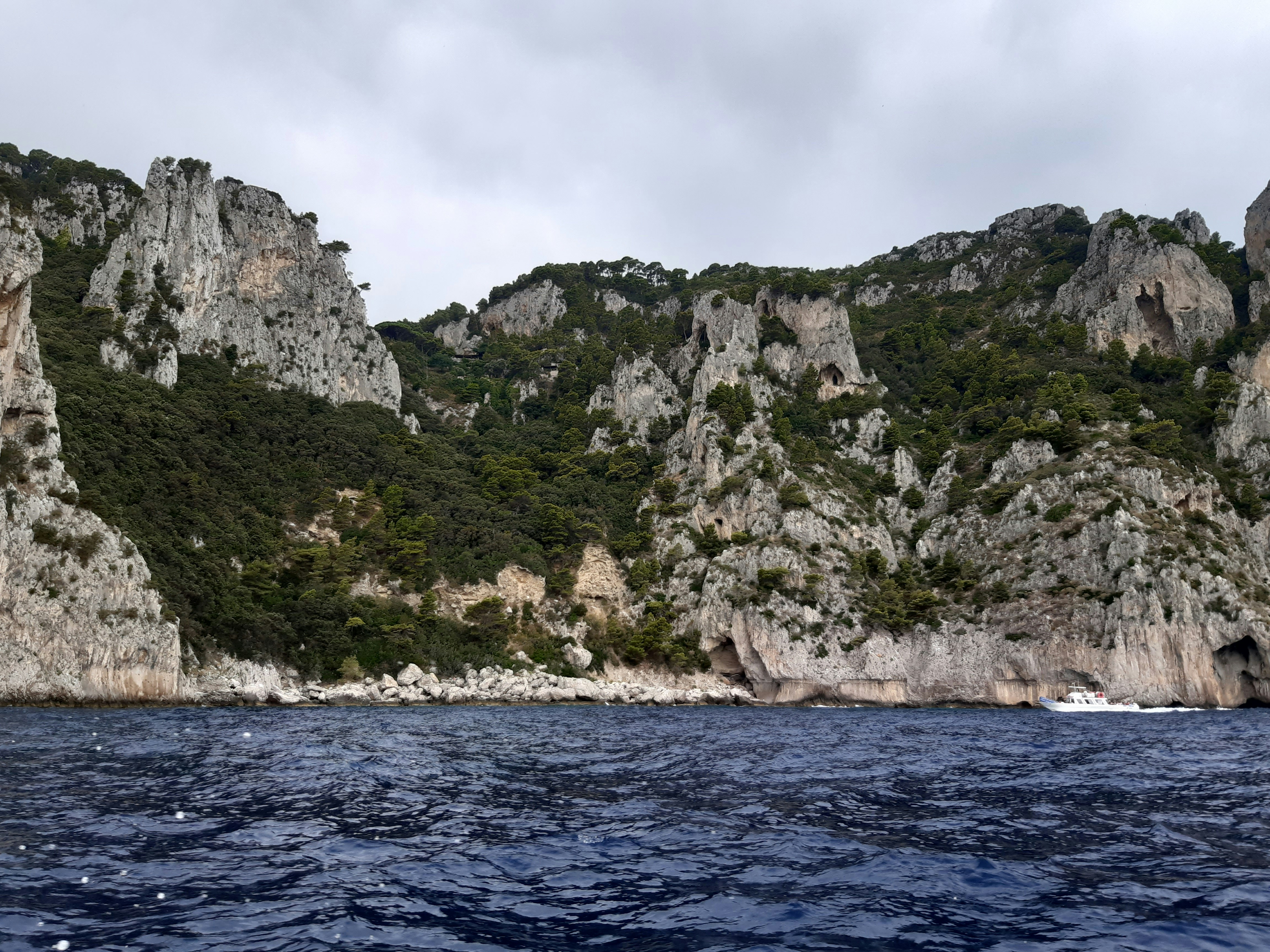 Photo by estrellitadelmar