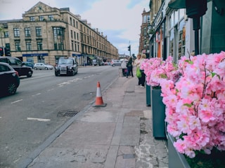 Volunteers planting flowers along a busy Hessle street.