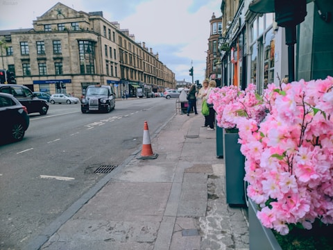 Volunteers planting flowers along a busy Hessle street.