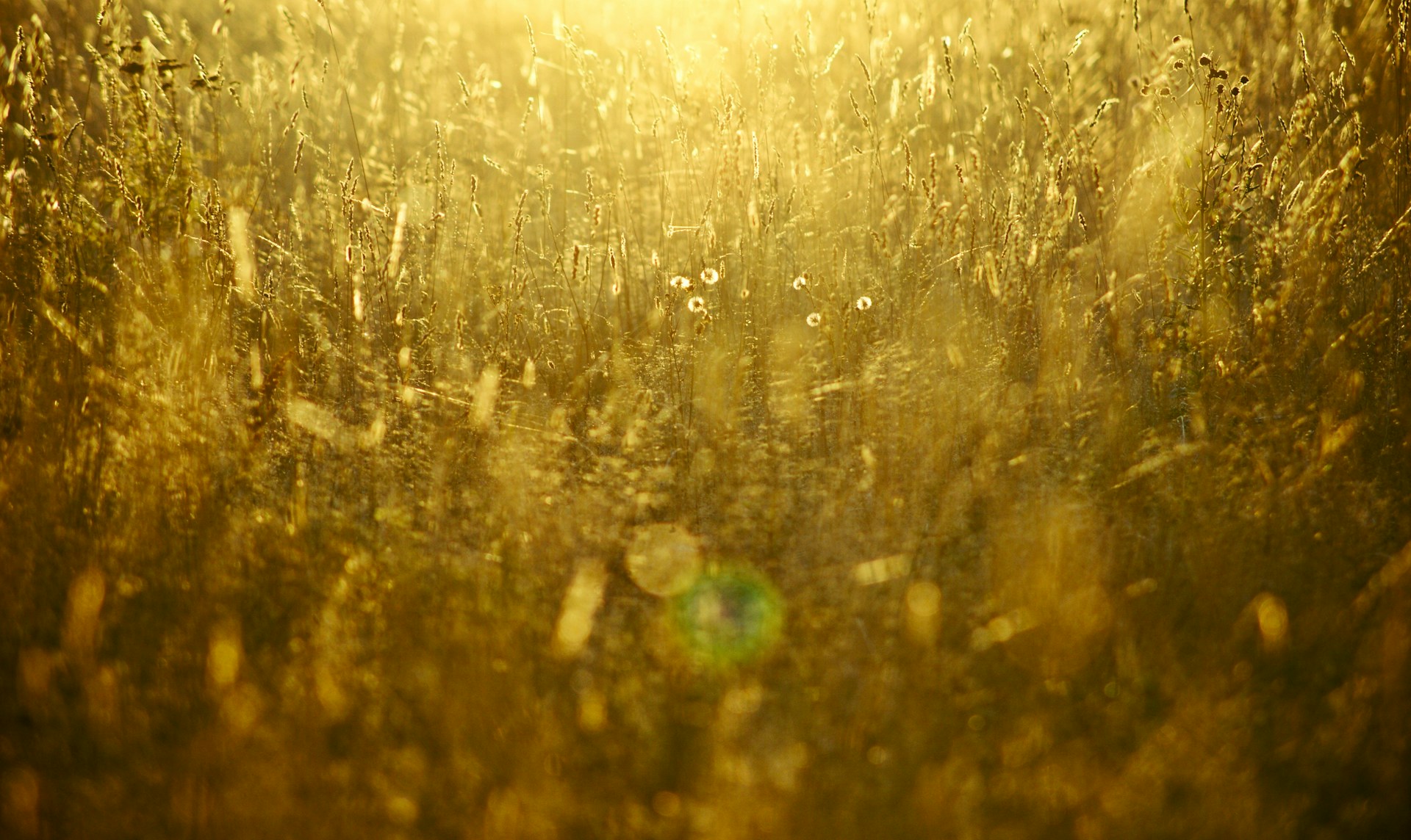 water droplets on glass panel