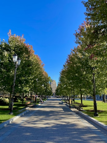 A scenic campus pathway lined with trees, inviting learners to new opportunities.