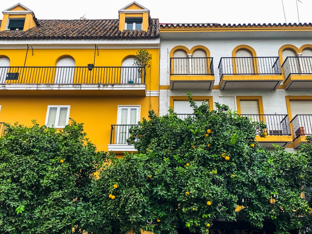 yellow and brown concrete house