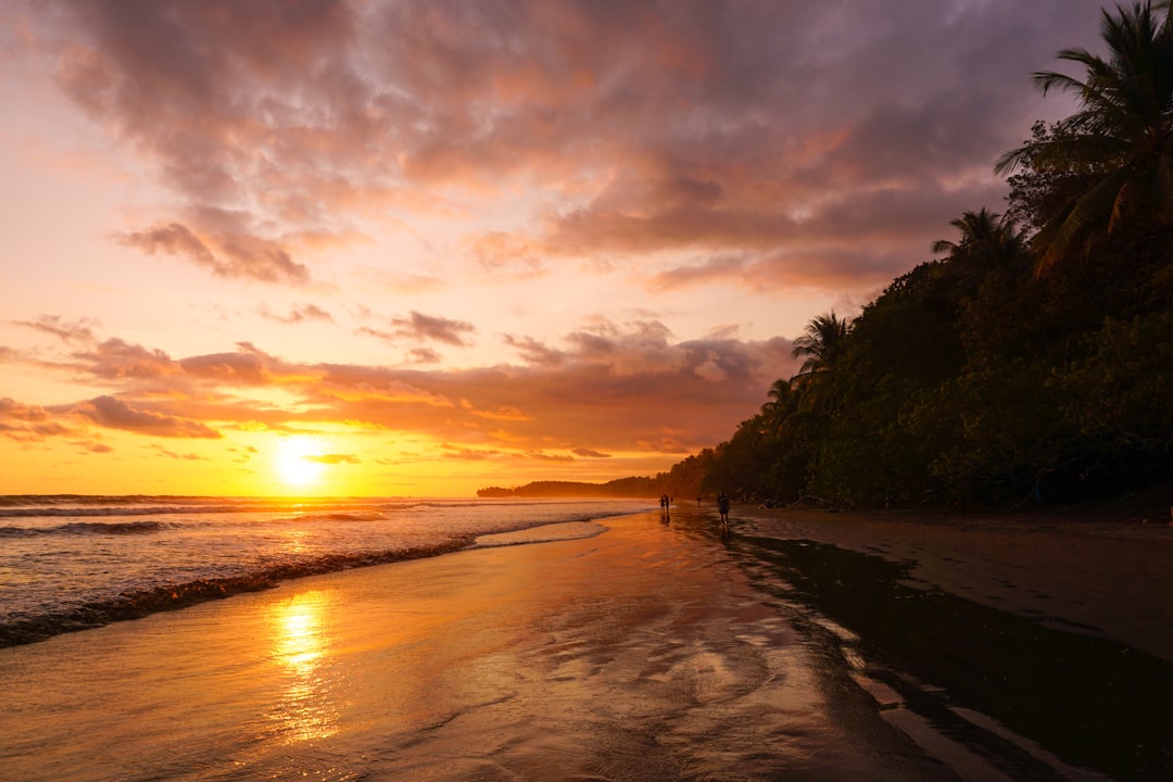 travelers stories about Shore in Marino Ballena National Park, Costa Rica