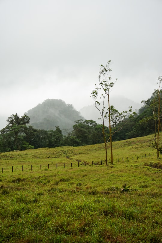 photo of Provinz Alajuela Hill station near Monteverde